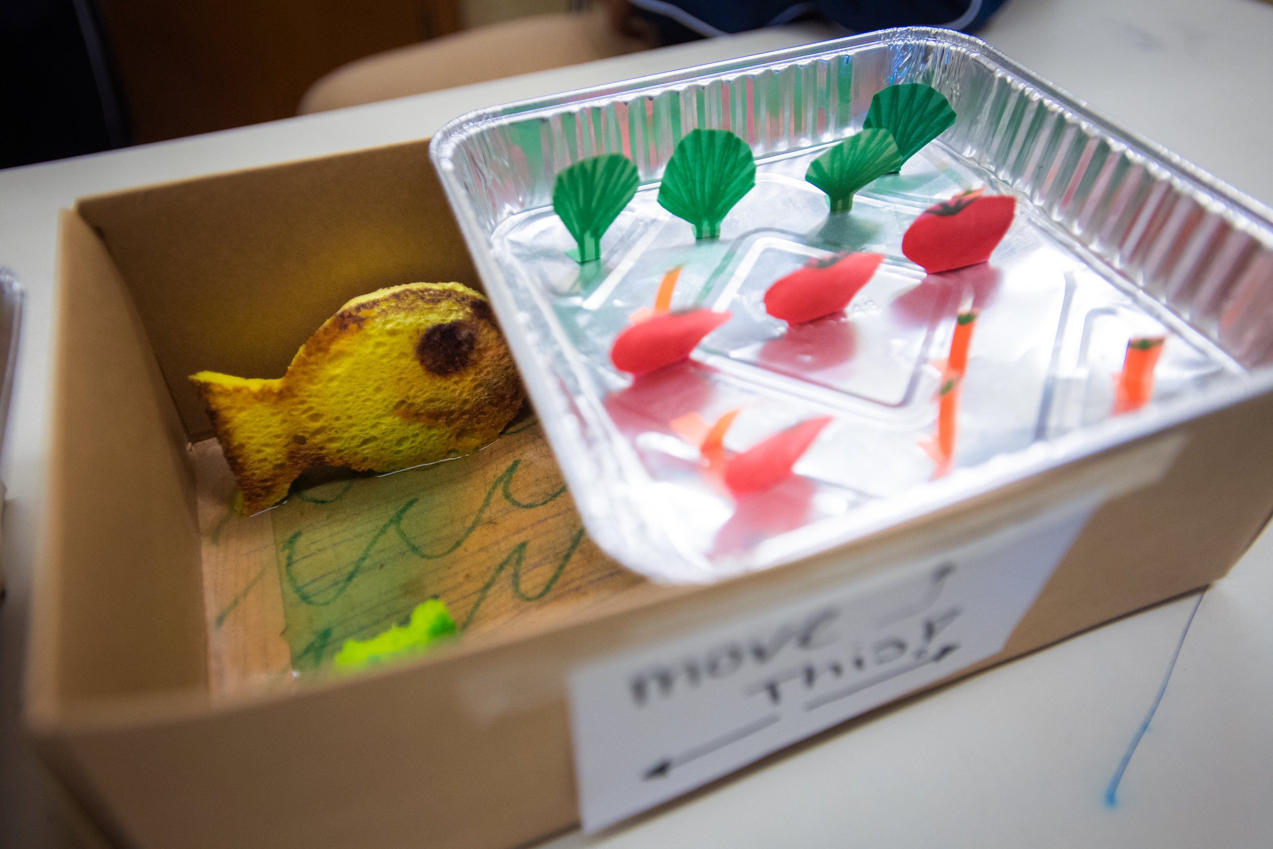 Designing Your Urban Farm