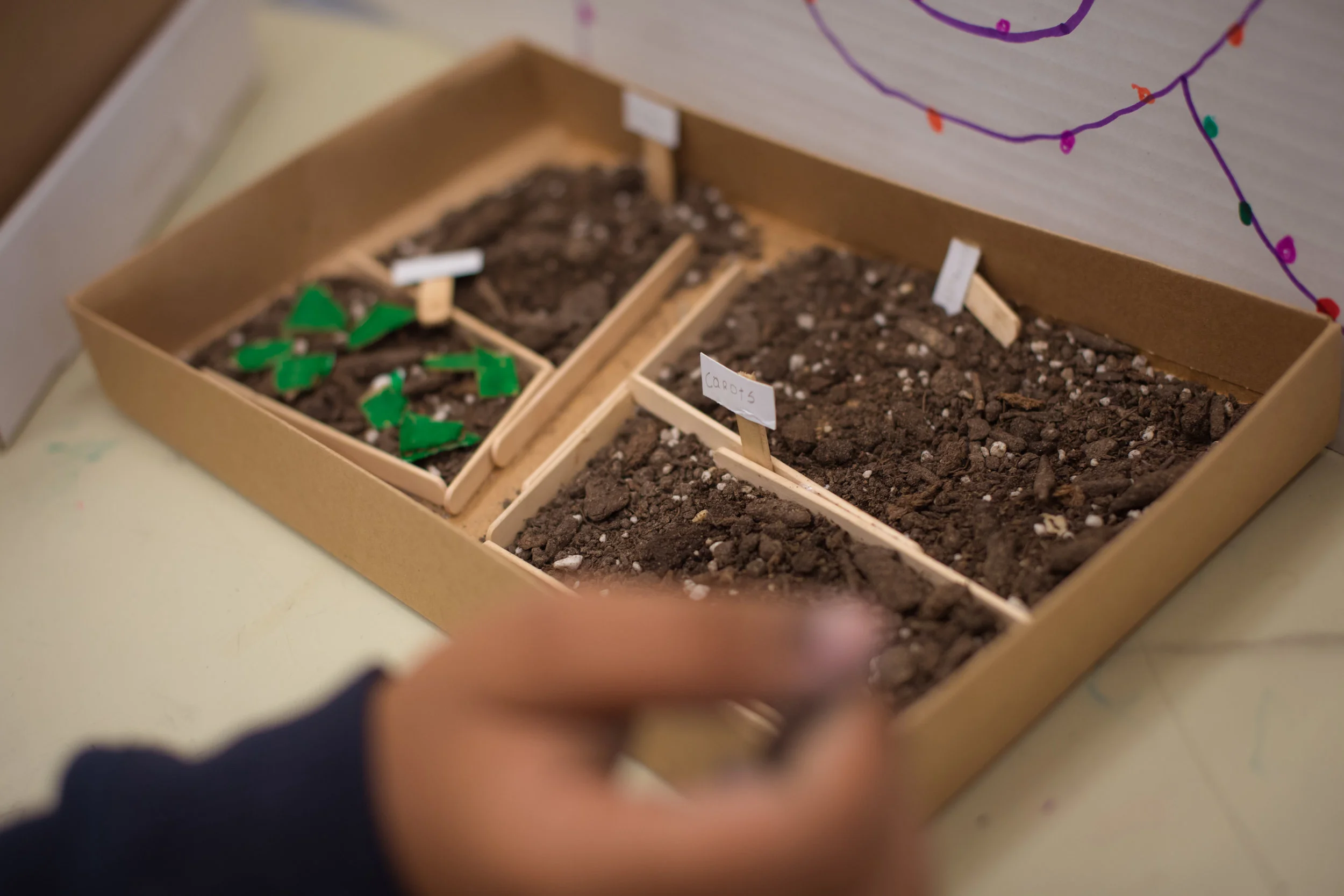 Choose Your Site Type