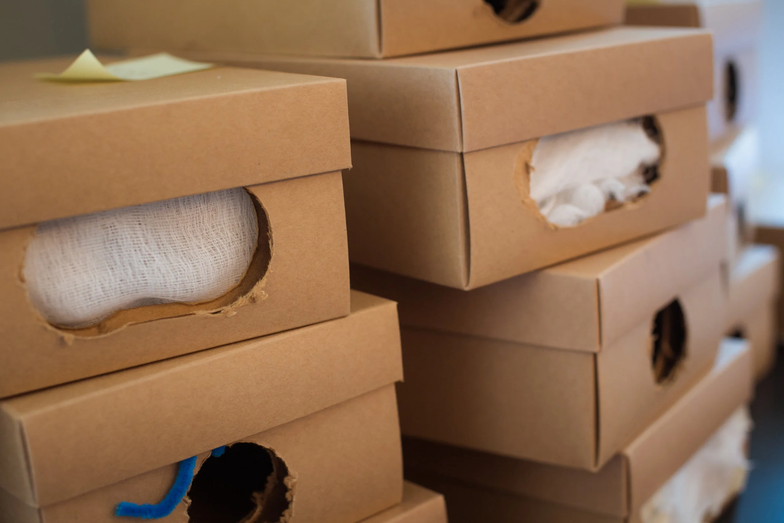 Engineering Challenge Warm-Up: Model Air Filters