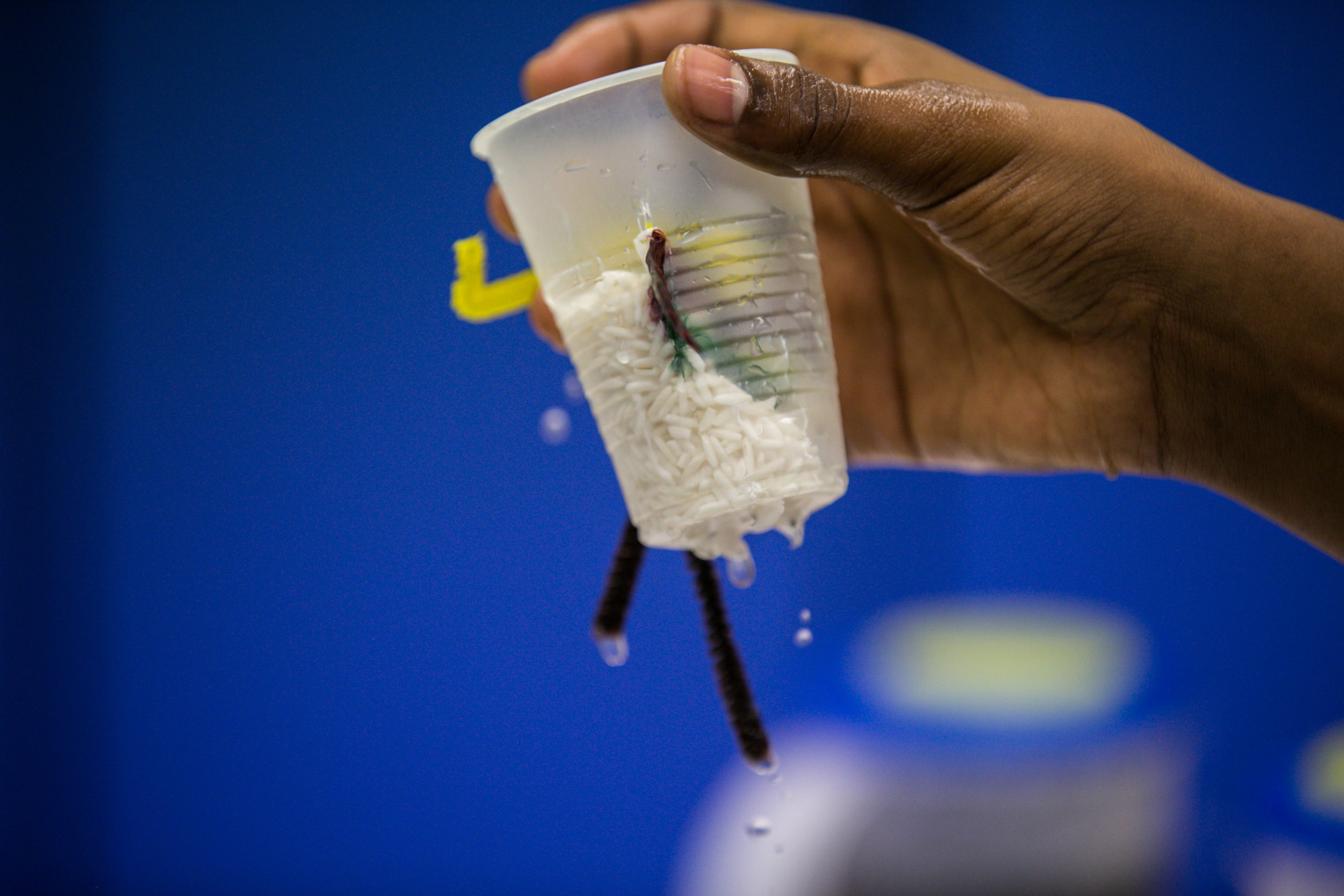 Engineering a Filter Feeder: Feeder Testing