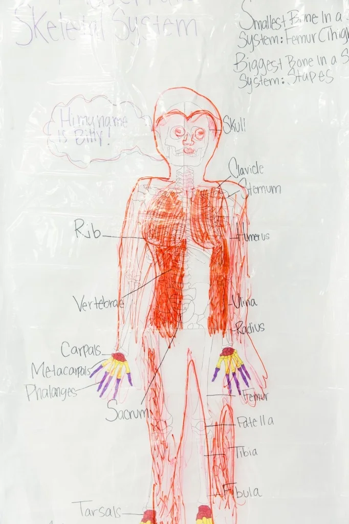 Example of Final Patient