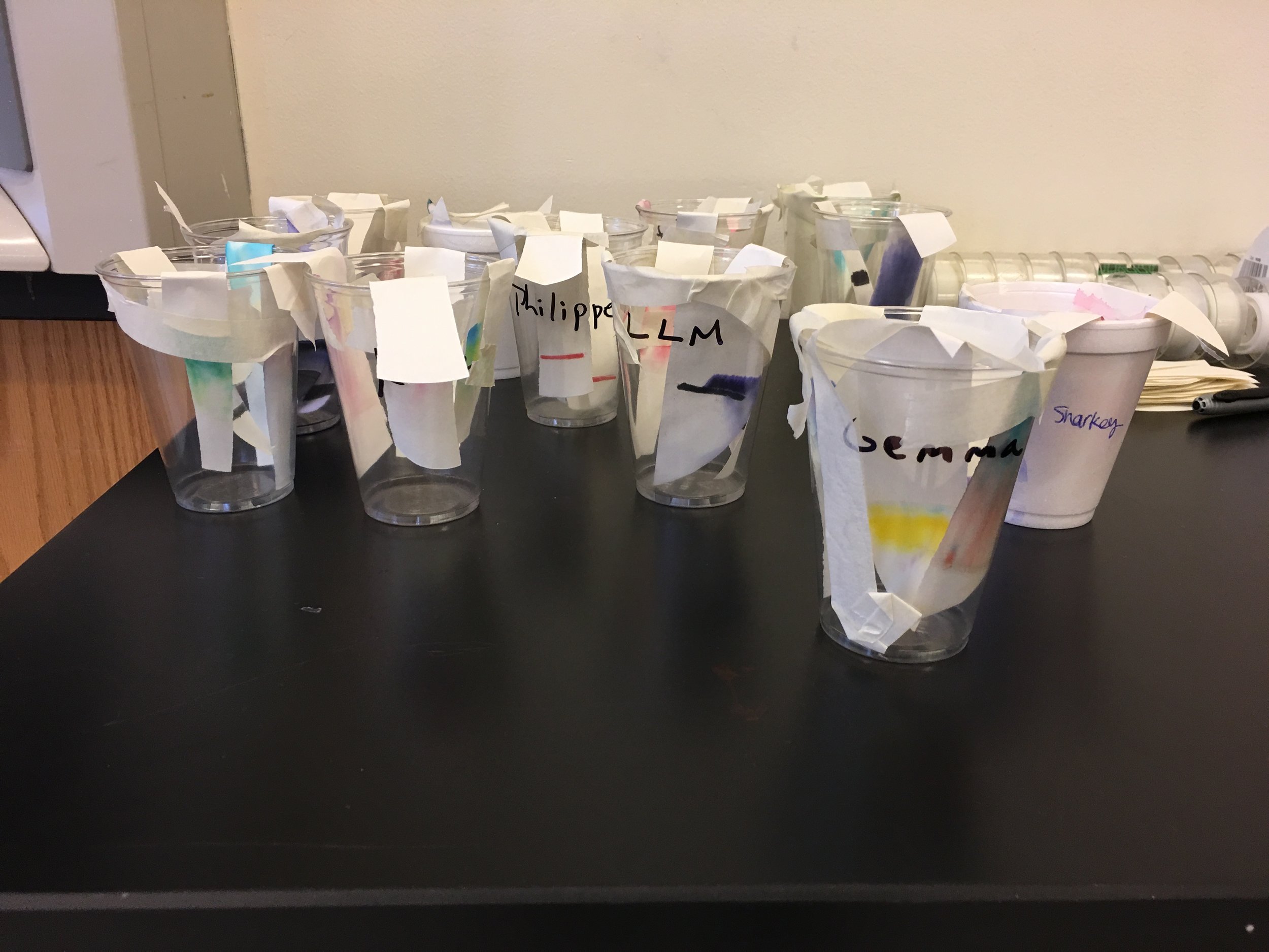 Ink Chromatography