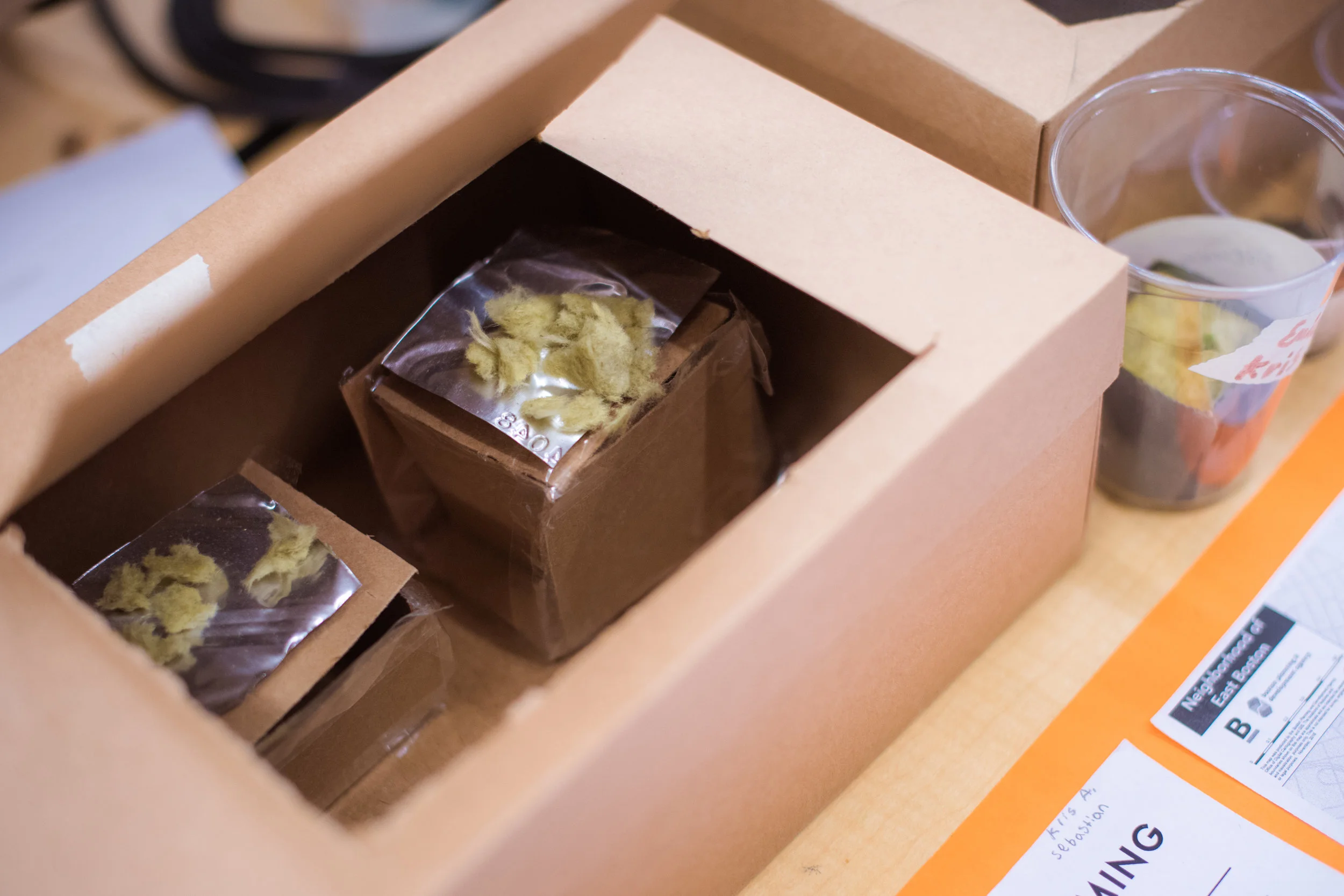 Engineering a Beehive