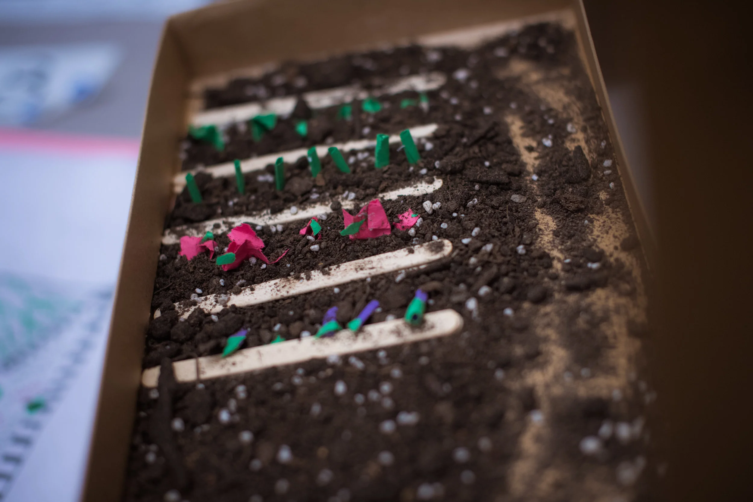 Choose Your Site Type