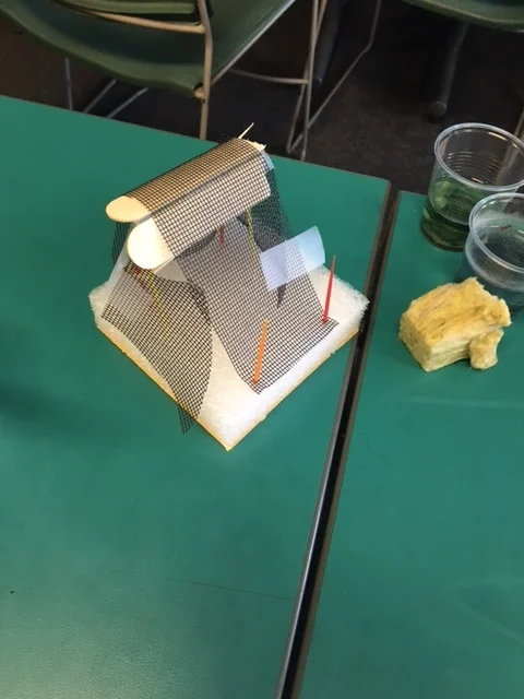 Engineering a Chicken Coop