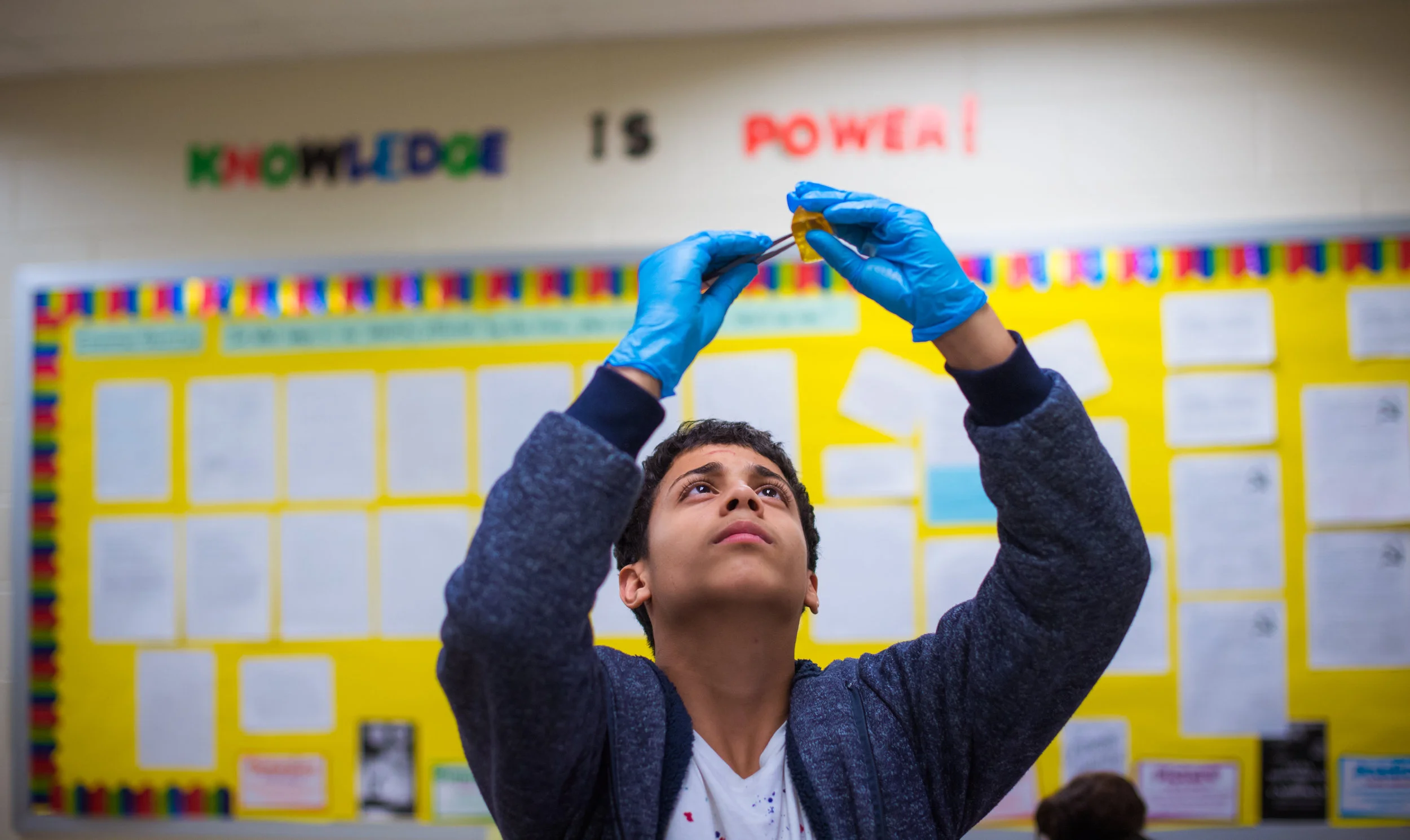 Systems Working Together (Copy)