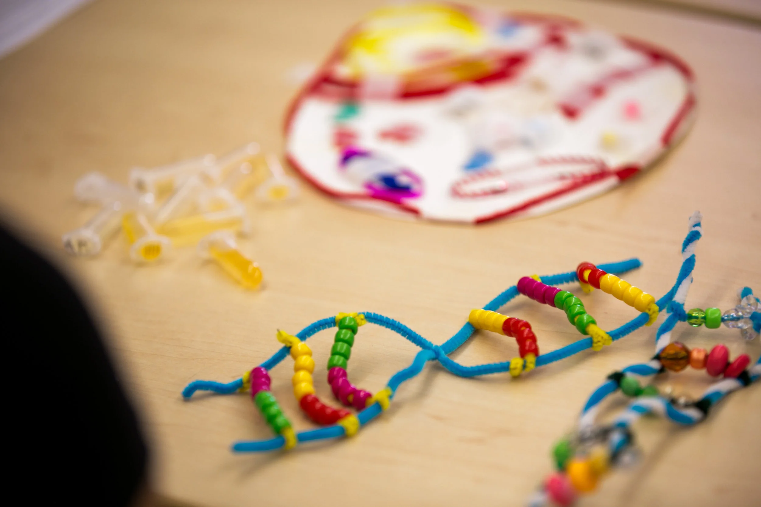 Completed DNA Model