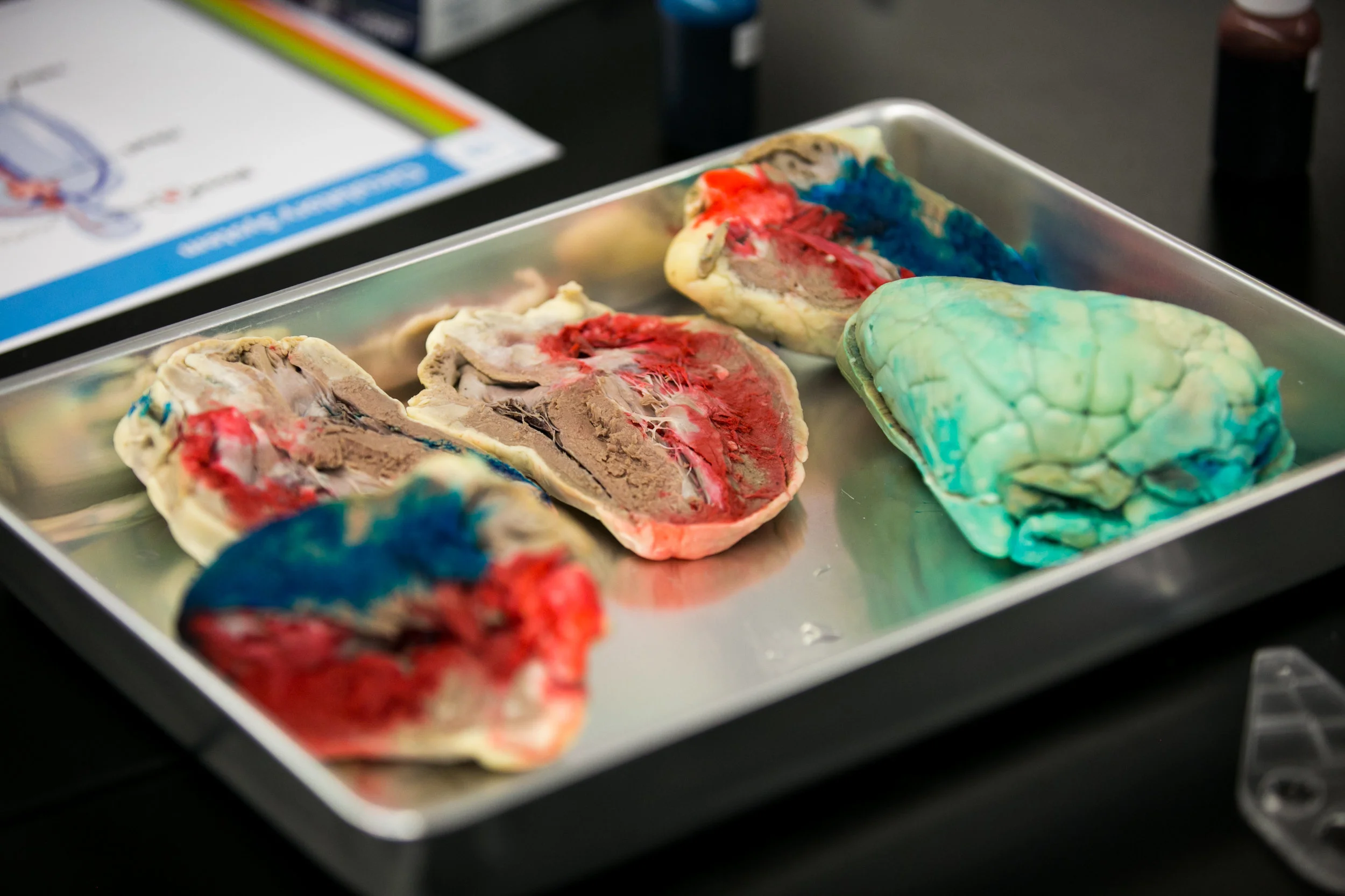 Sheep Hearts