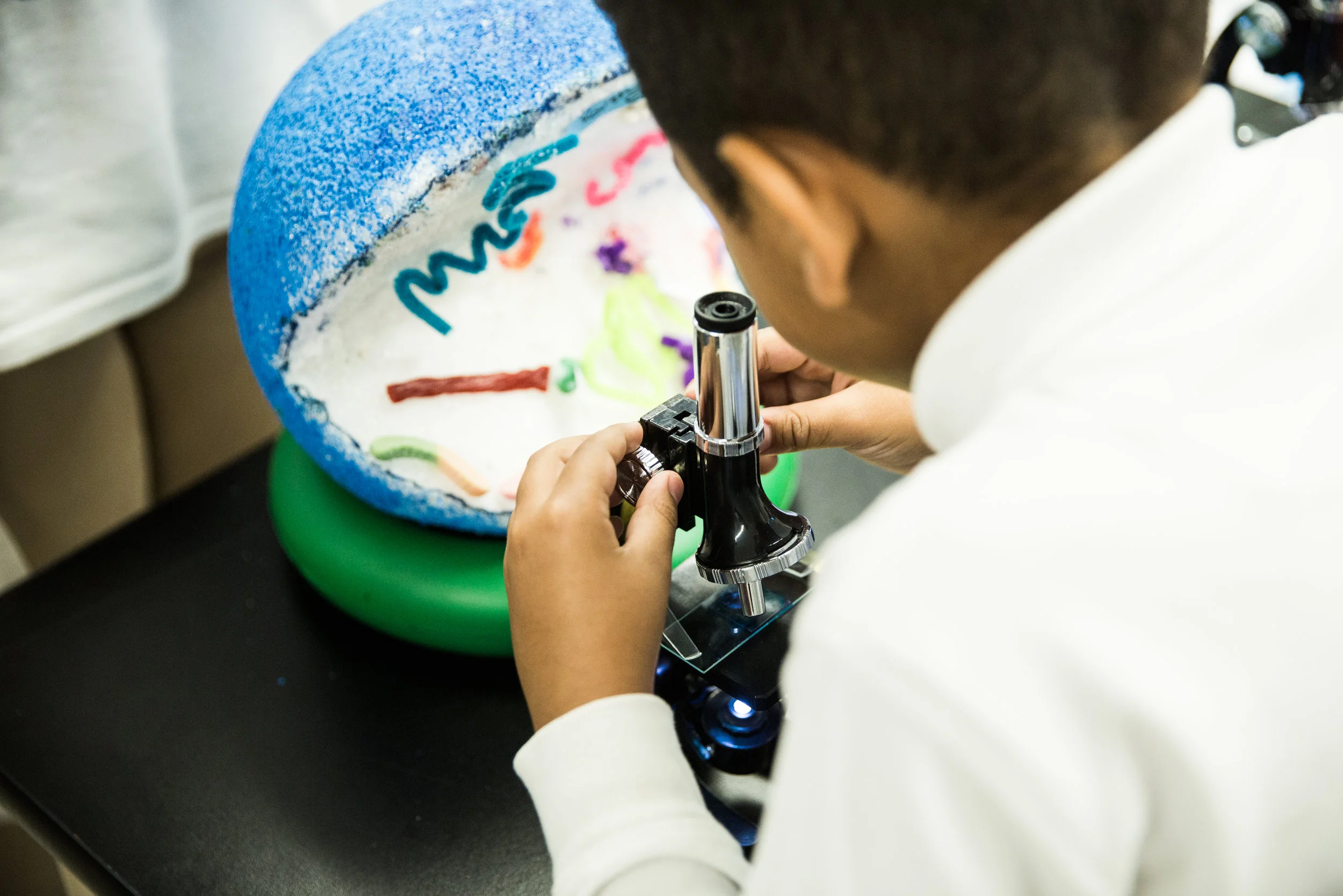 Cell Models