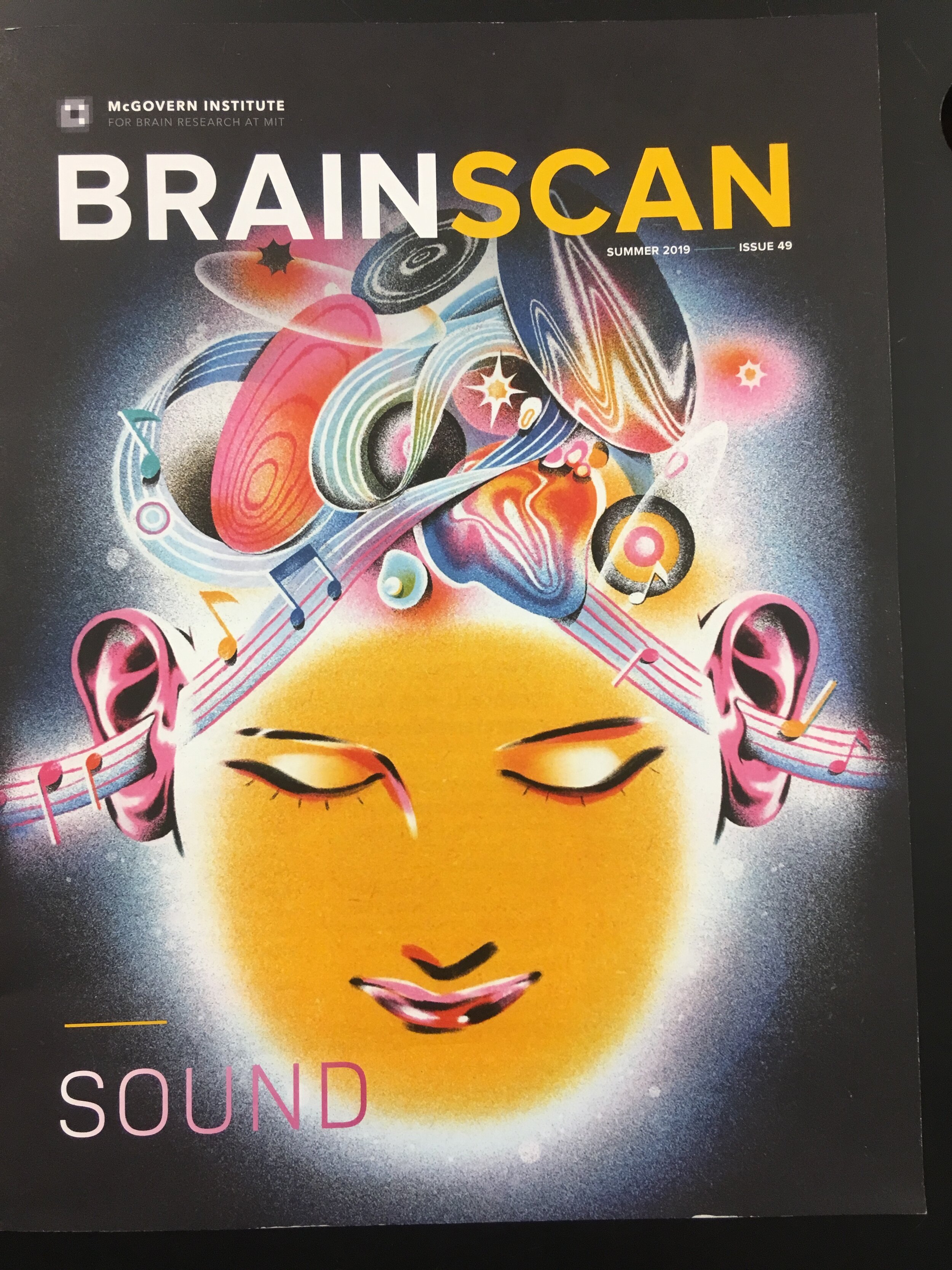 research brain MIT.JPG