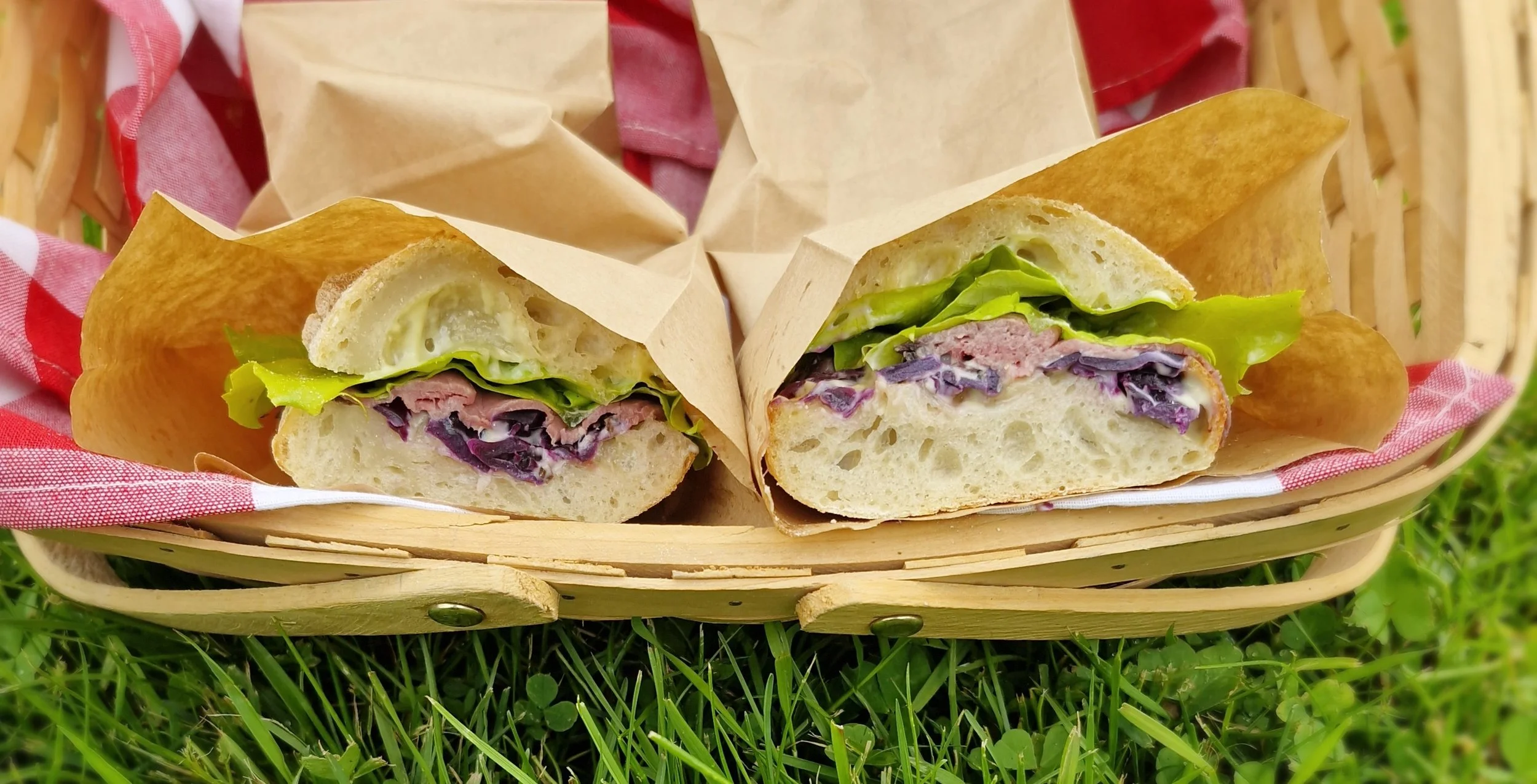 picnic long.jpg