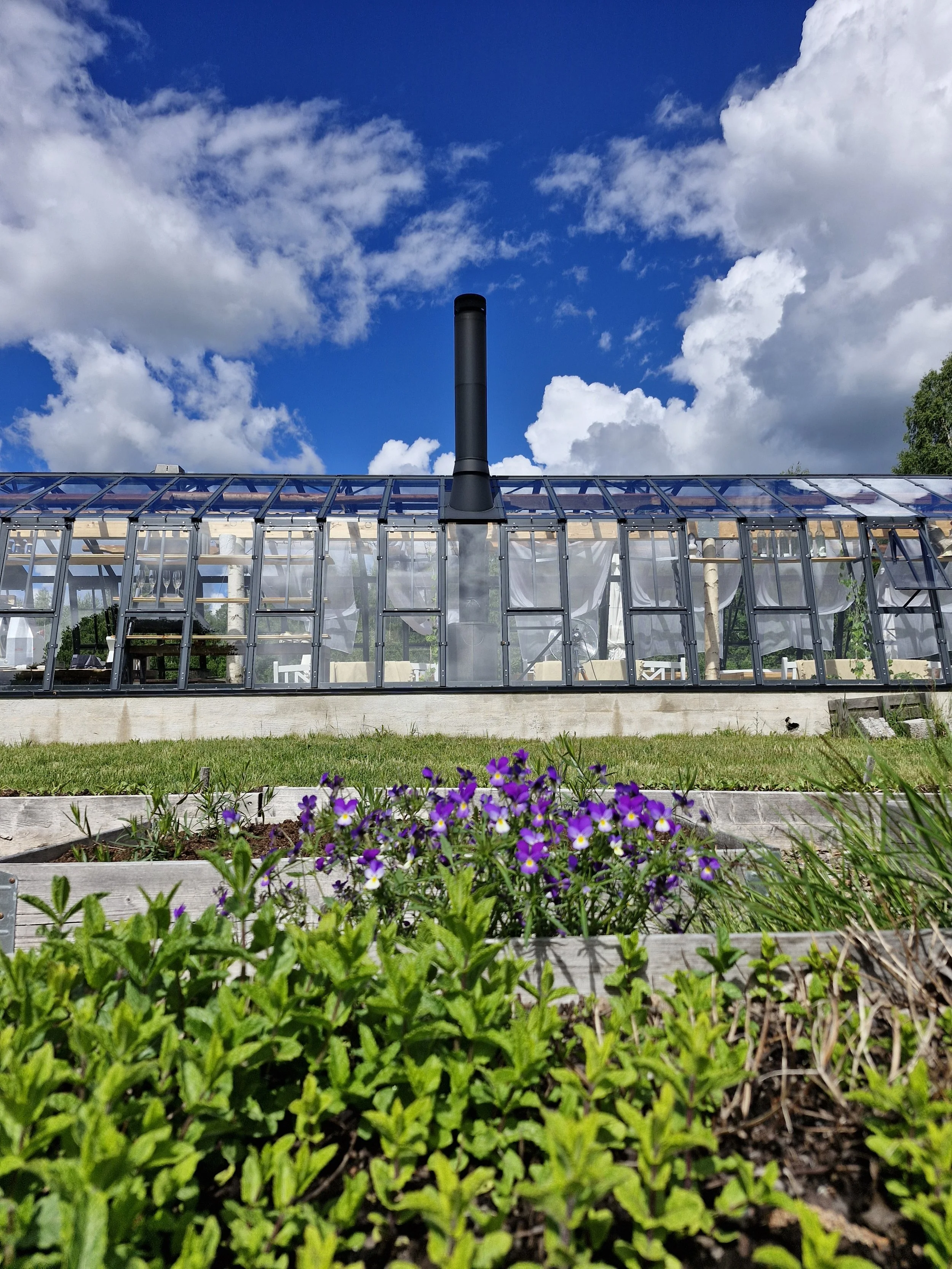 greenhouse flowers.jpg