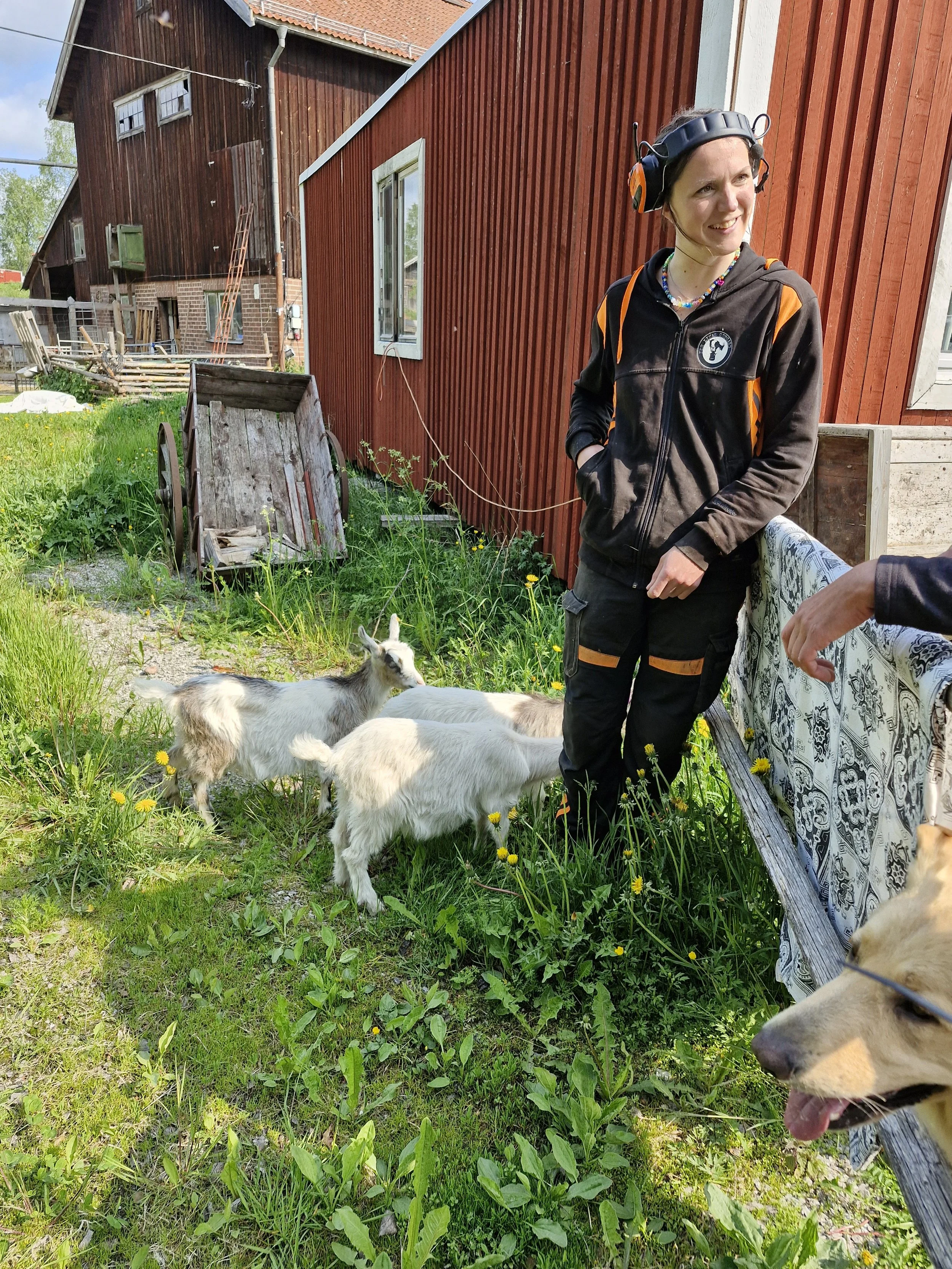 Lina from Mor Linas Getgård