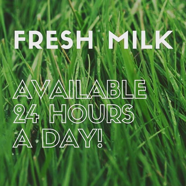 Fresh Is What We Do! Our Cows 🐄 Are Milked Twice Daily &amp; Milk Is Sold Les&rsquo;s Than 500 Yards Away In The Vending Shed. Come &amp; Taste The Difference x  #milk #fresh #healthyfood #healthyeating #healthy #locallymade #local #localbusiness #l