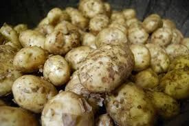potatoes.jpeg