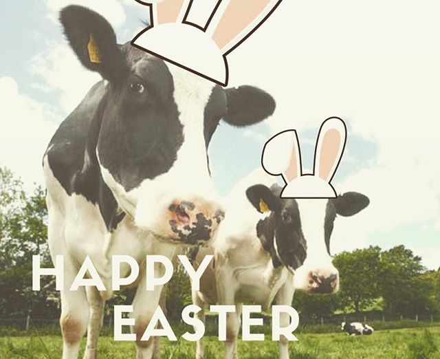 Happy #Easter To You All, Thank You For Your Great Support. We&rsquo;re Open 24 Hours A Day, 7 Days A Week. Fresh #Milk, Free Range #Eggs &amp; Homegrown #Potatoes #derby #farm #innfarmdairy #ashbourne #cows