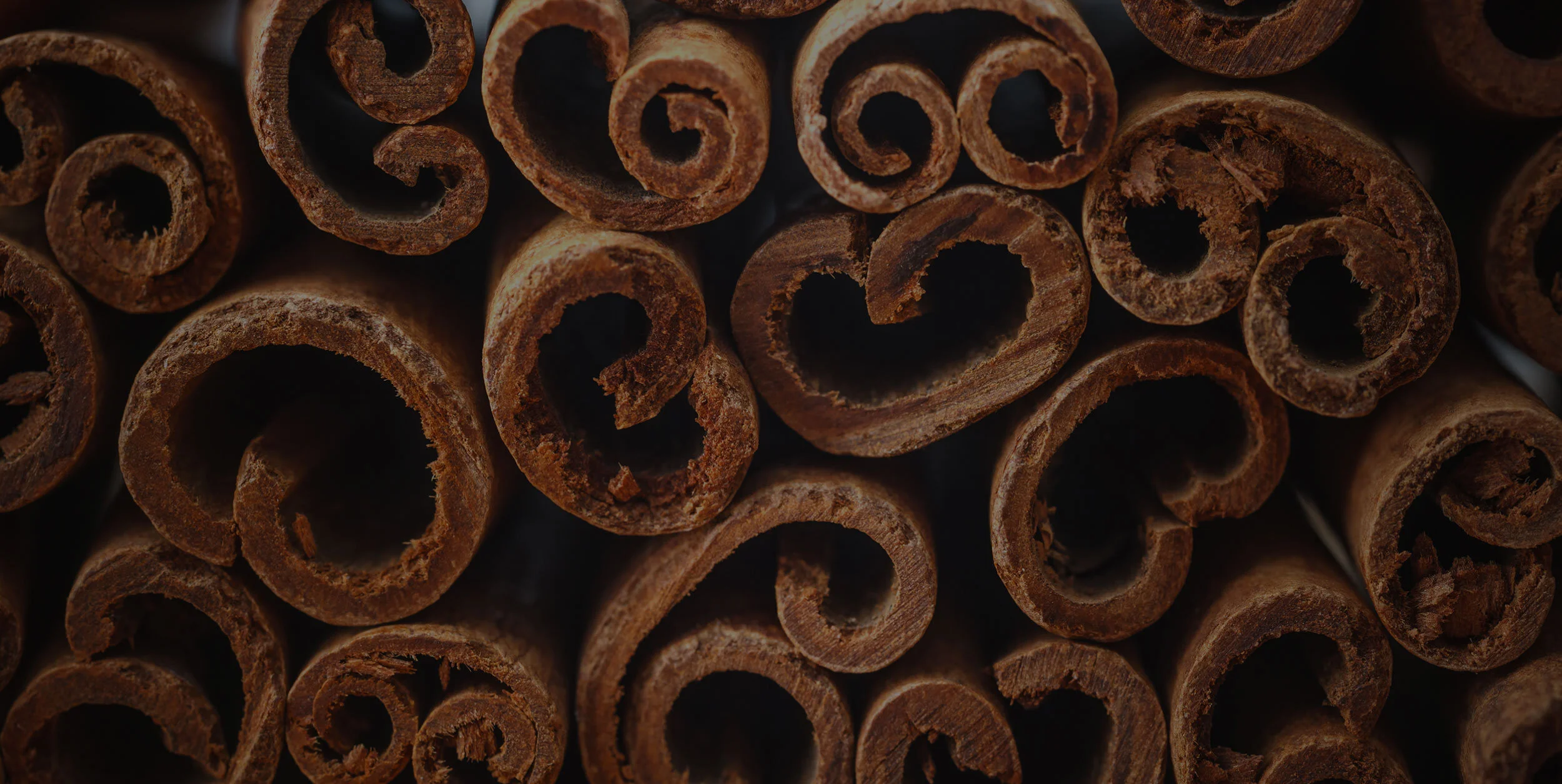 1809_Design_Cinnamon_footer.jpg