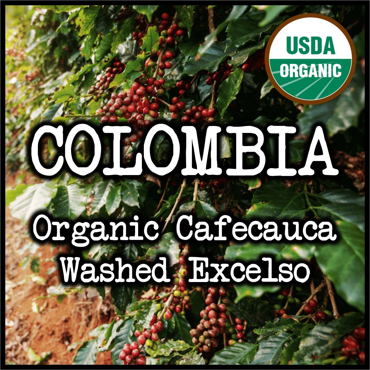 Colombia Organic Cafecauca.jpg