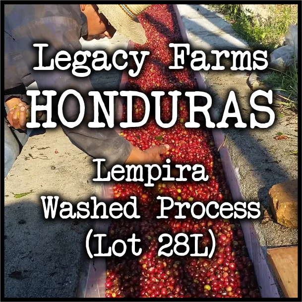 Legacy Farms L28.png
