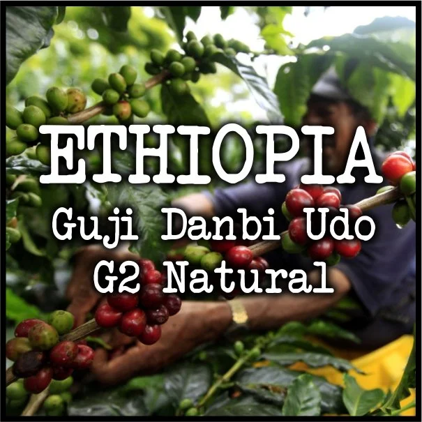 Ethiopia Guji Danbi Udo G2 Natural.jpg