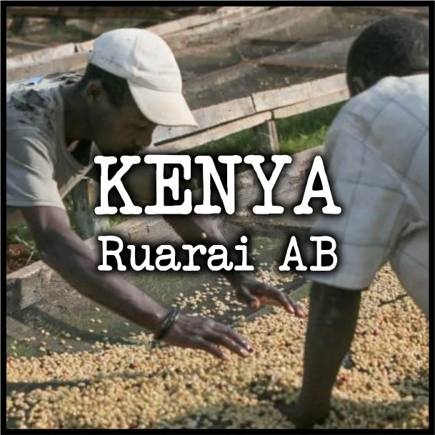 Kenya Ruarai AB