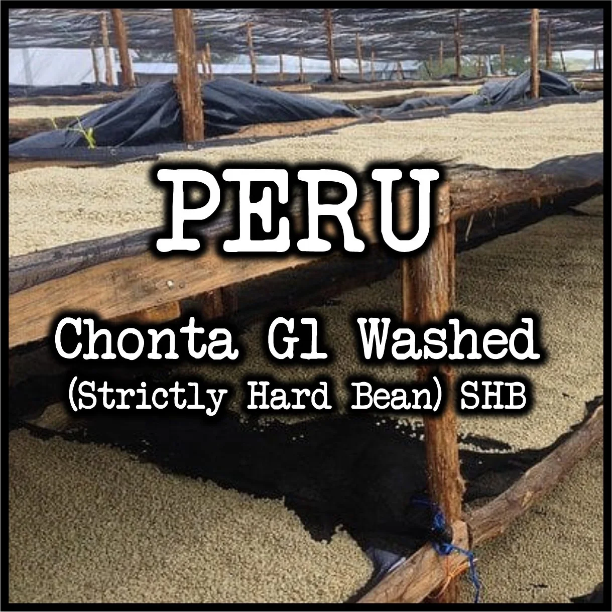 Peru Chonta G1 Washed SHB