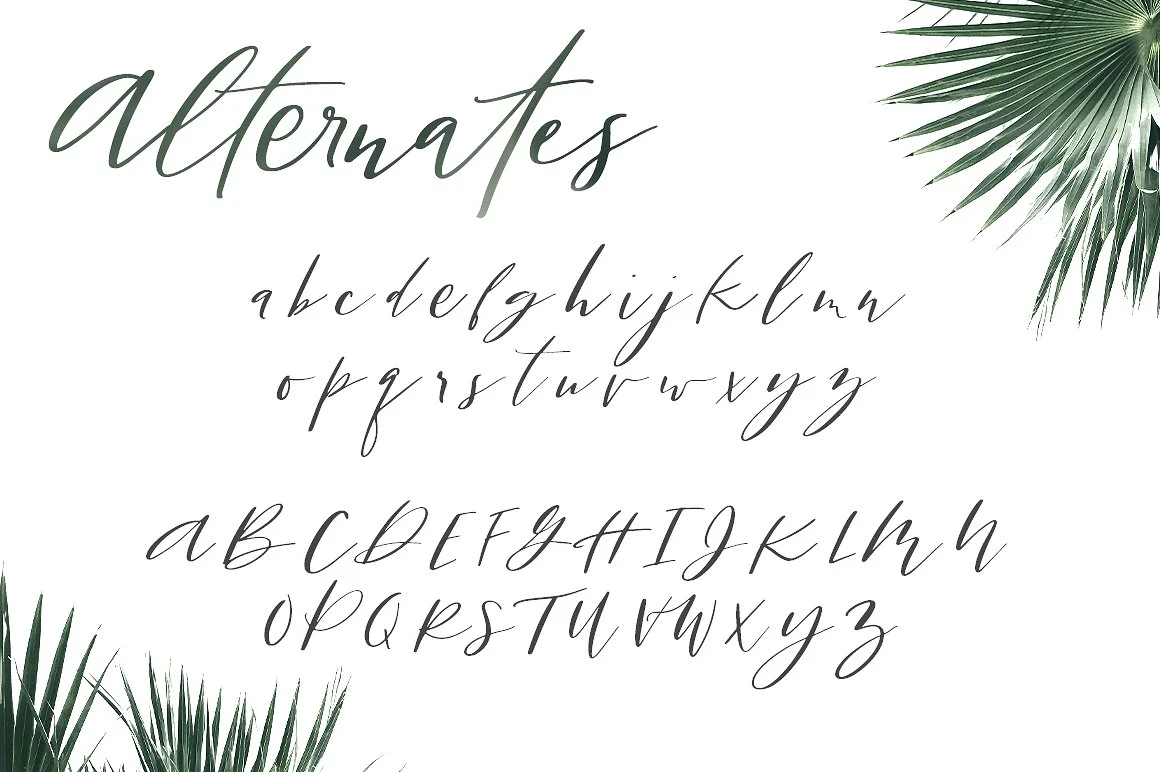 san-clemente-alternates-.jpg