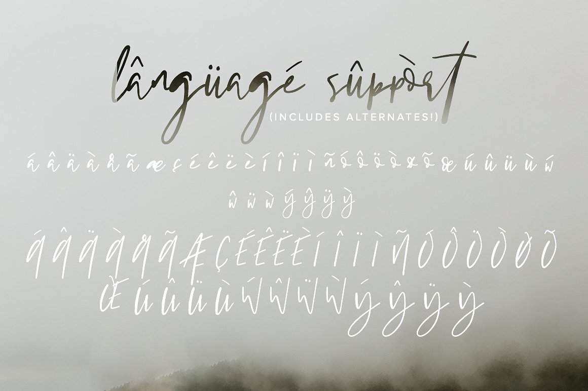 language-support-.jpg
