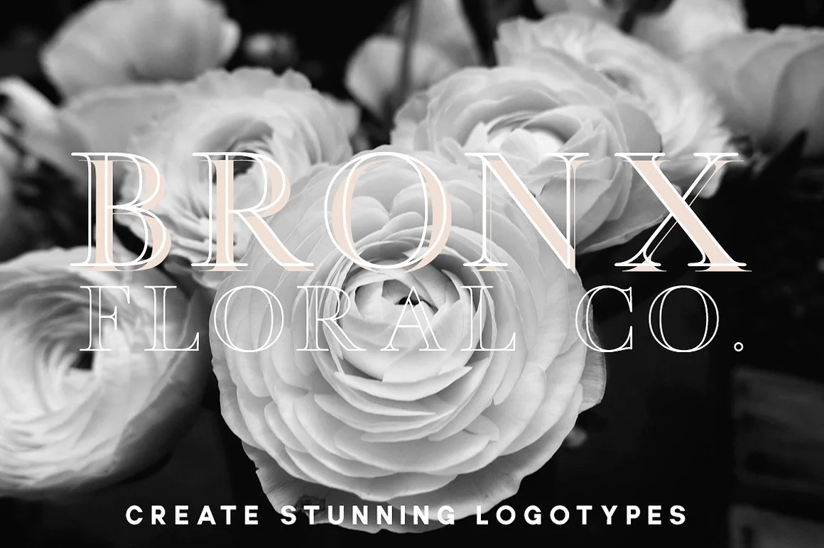 bronx-sample-2-.jpg