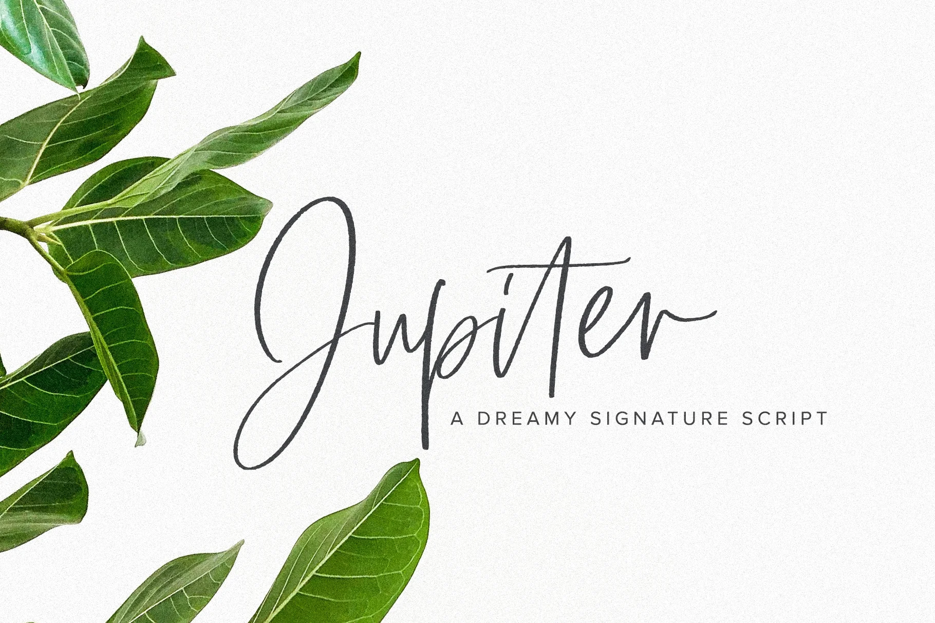 Jupiter CoverArtboard 1.jpg