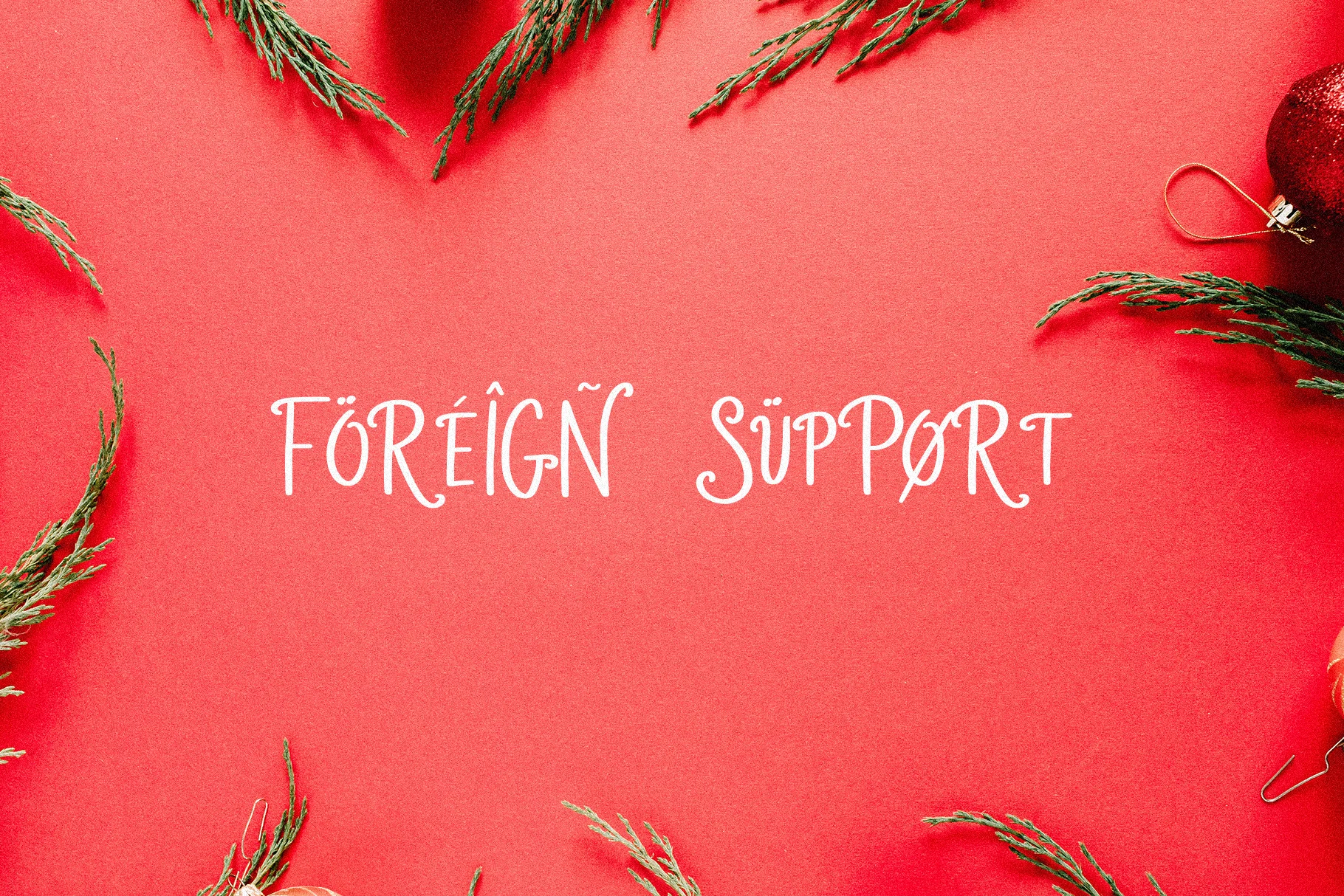 Noel Foreign Support.jpg
