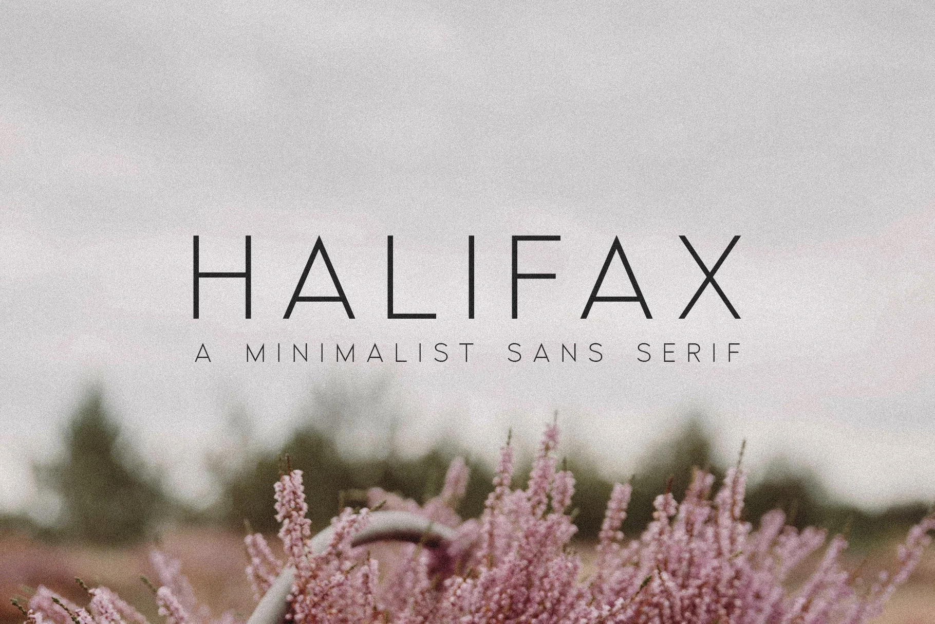Halifax Sample ImagesArtboard 1.jpg