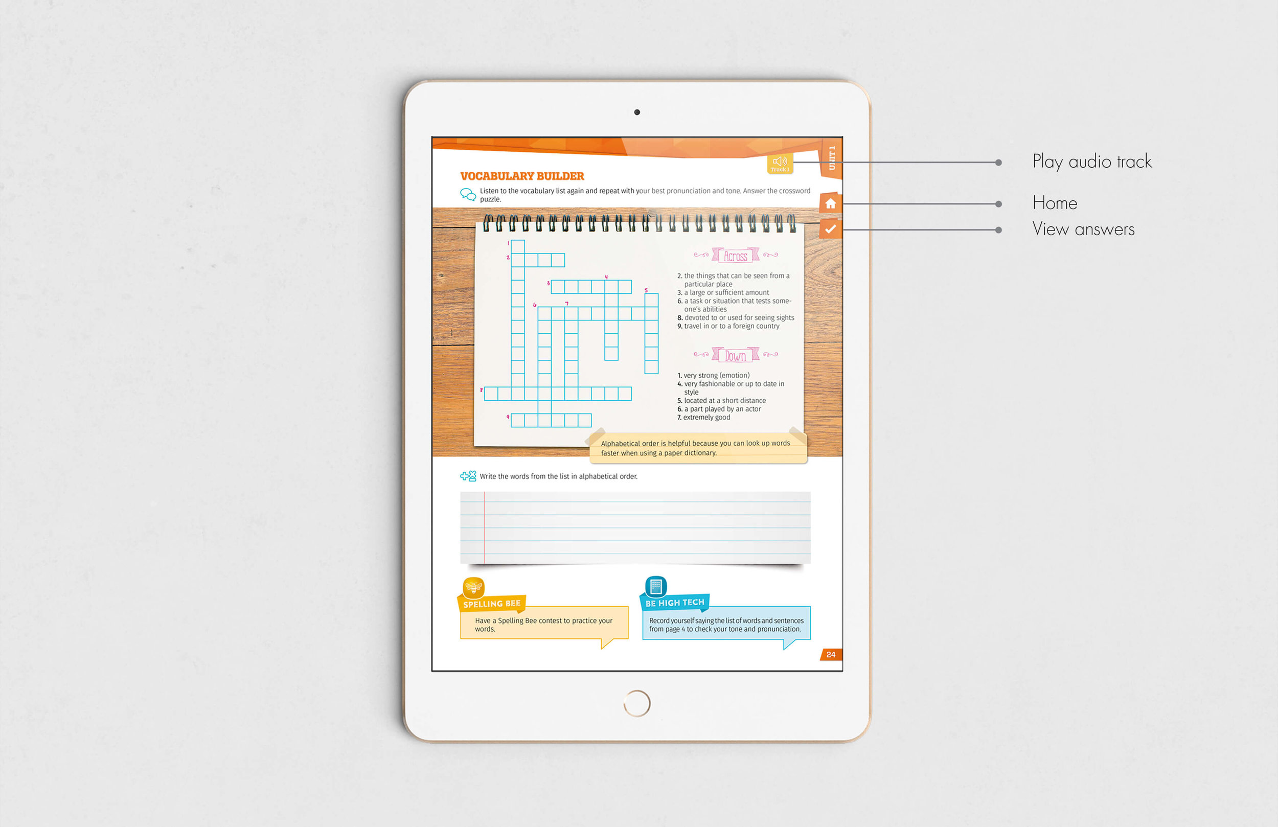 amco_ipad_web.jpg