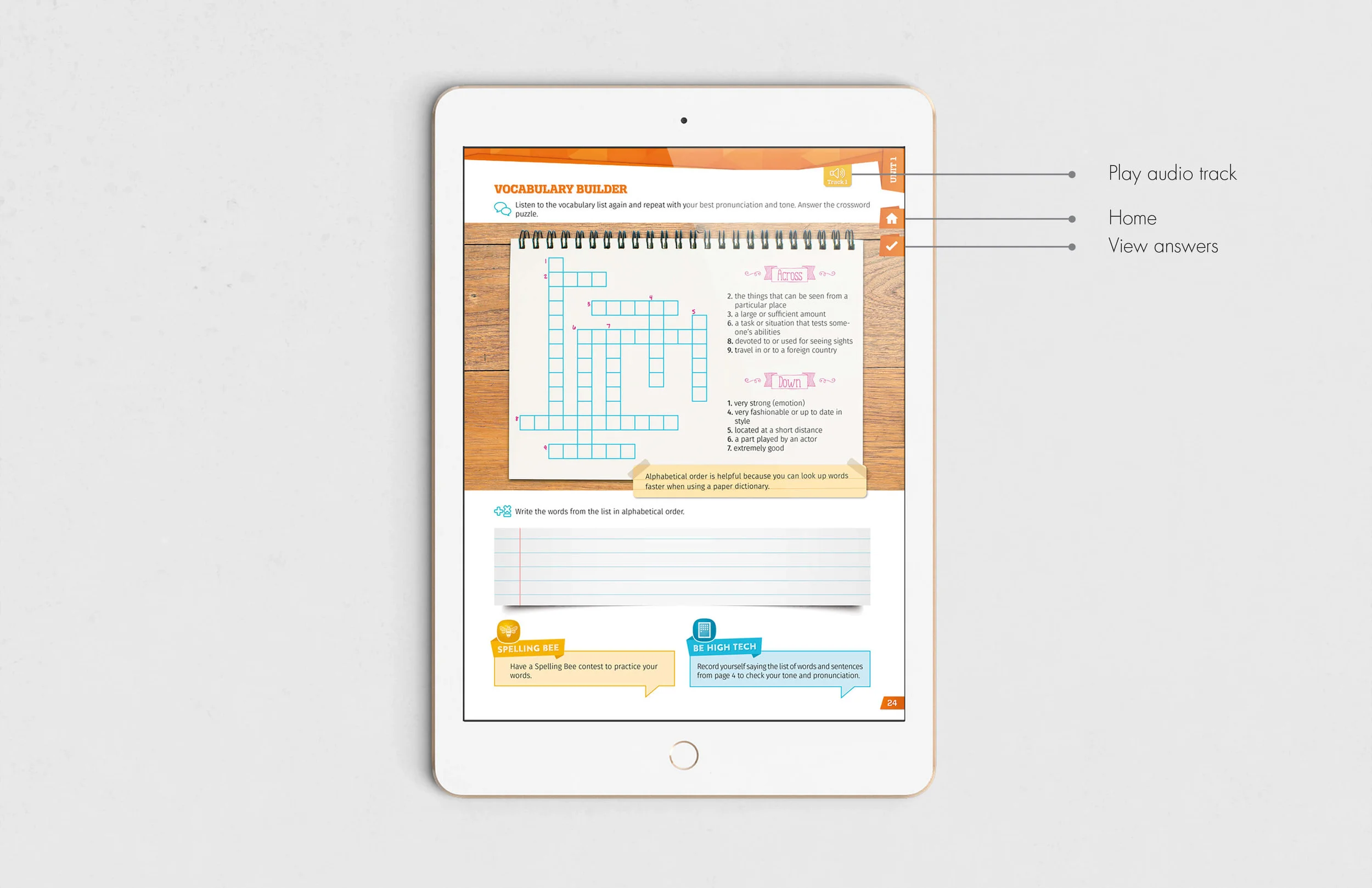 amco_ipad_web.jpg