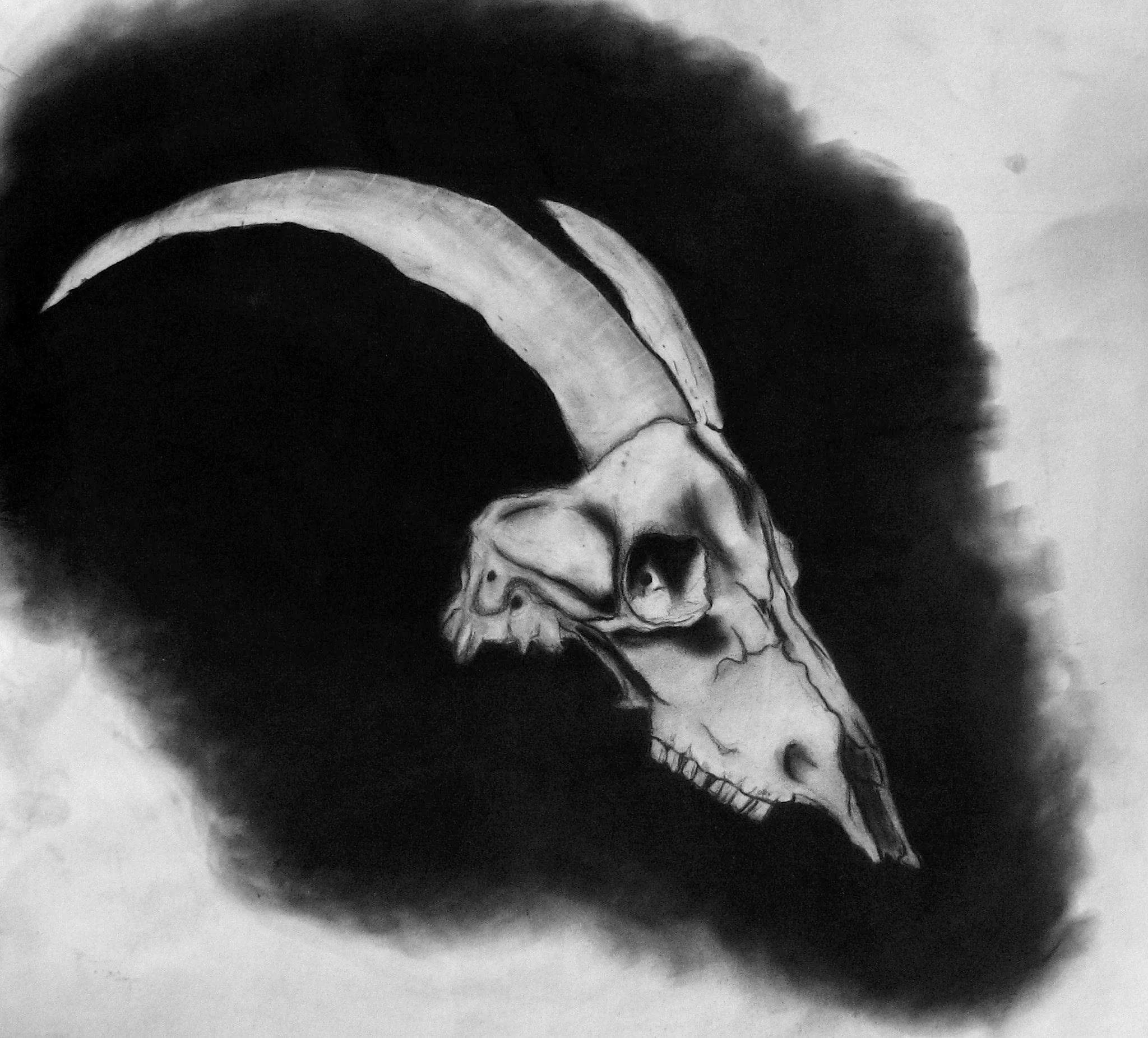 charcoal on paper