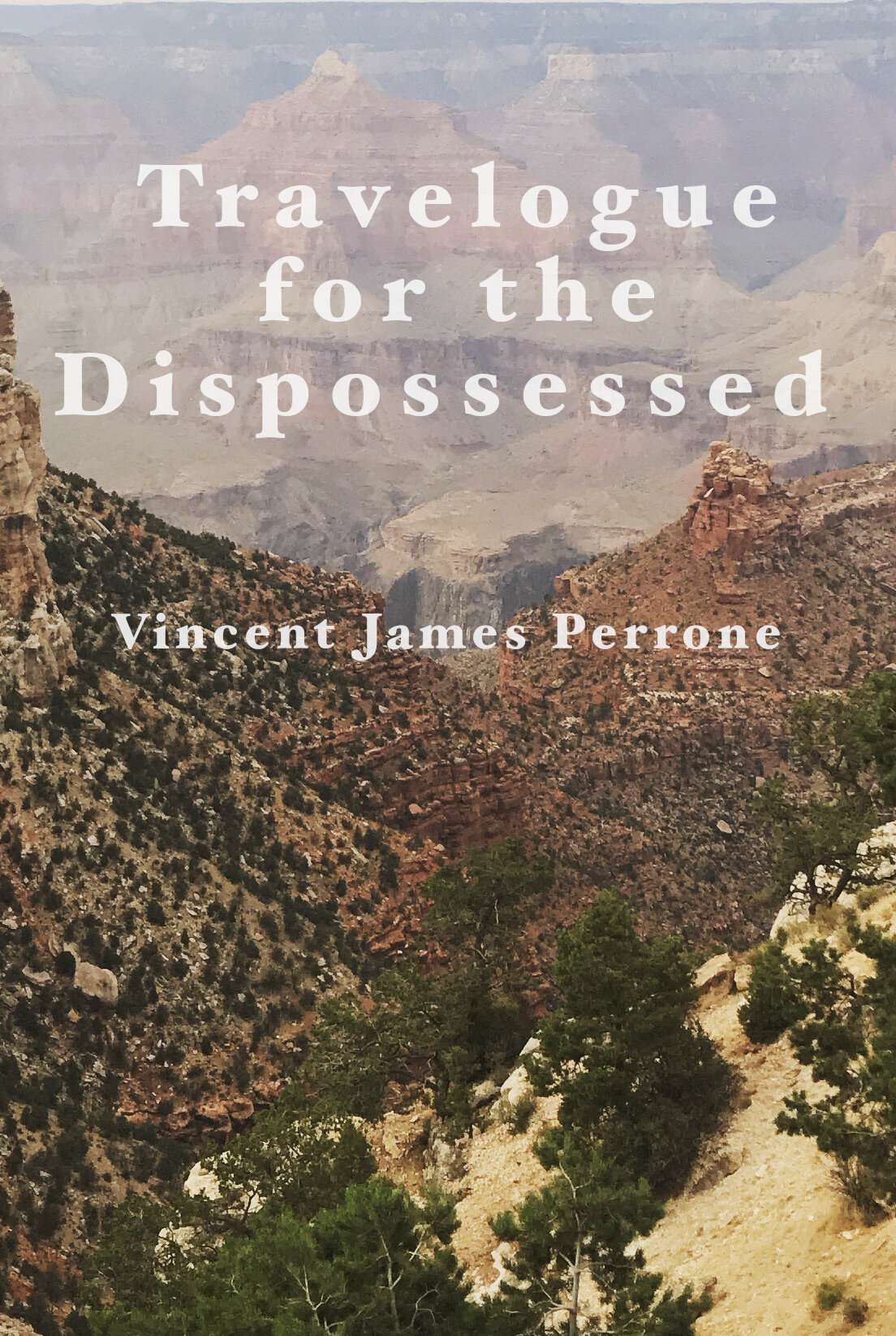 53. Vincent James Perrone.jpeg