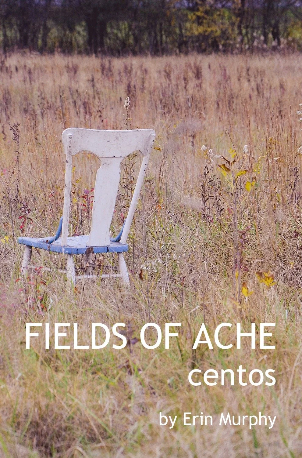 Murphy chapbook cover.jpeg