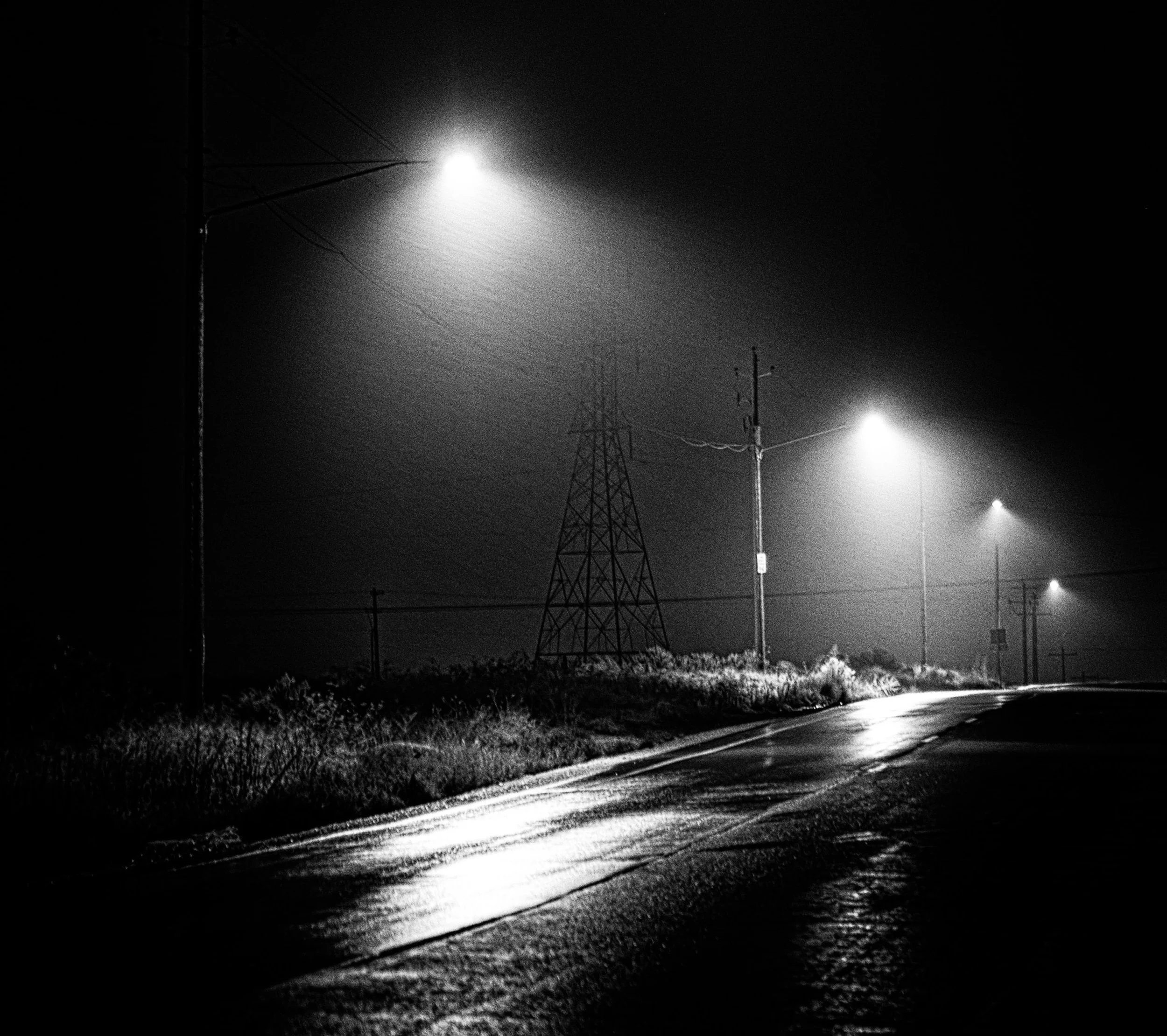 pexels-brett-sayles-3691529 copy.jpg