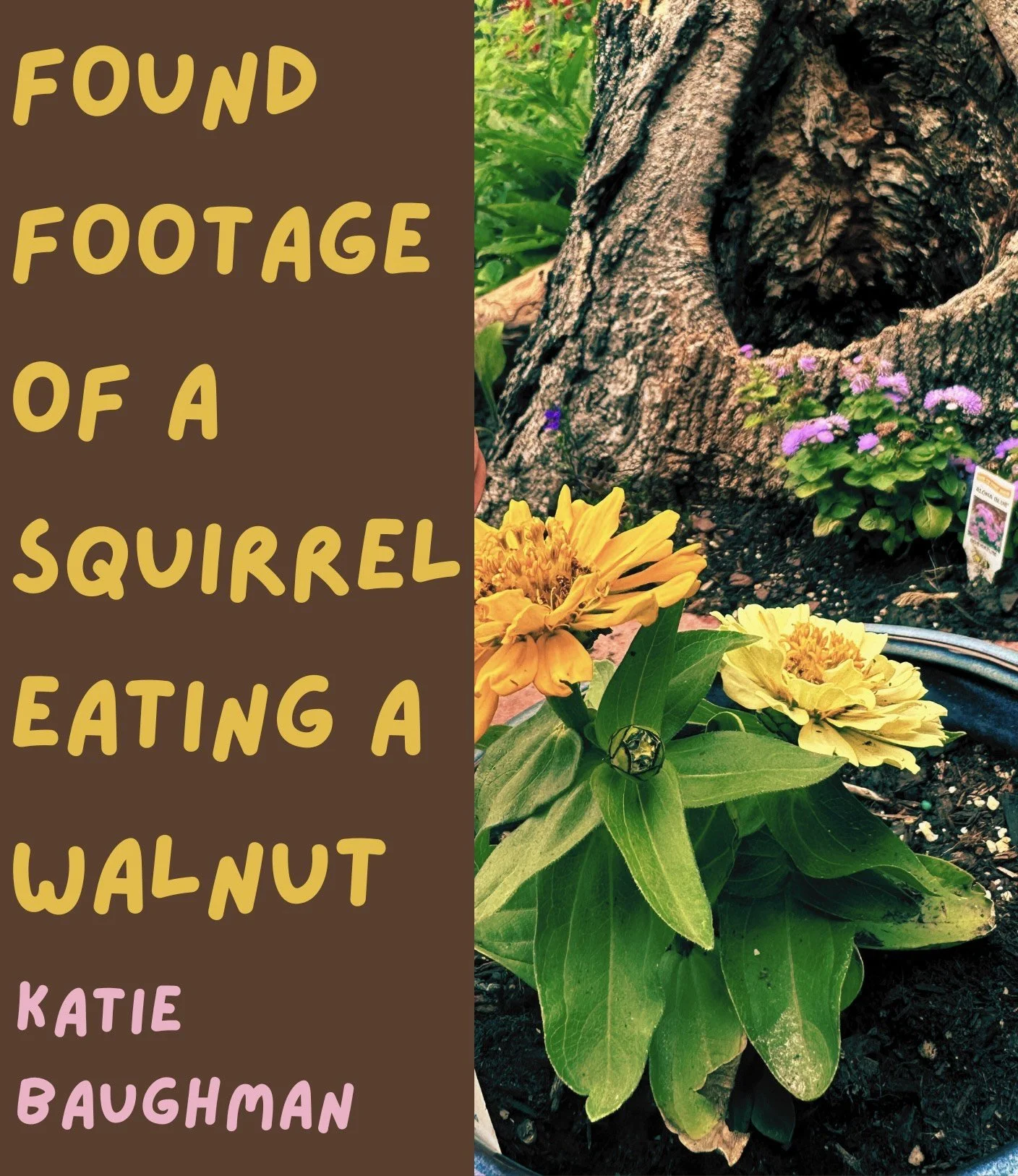 37. Katie Baughman.JPG