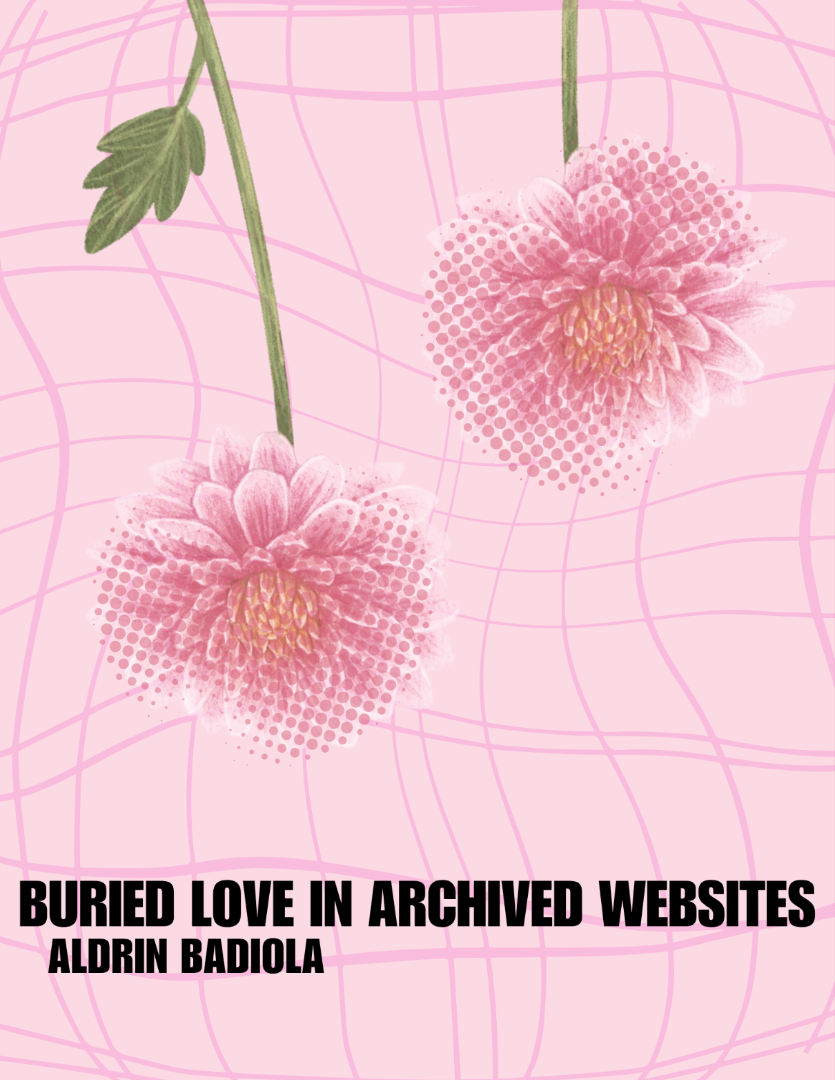 badiola_cover.png