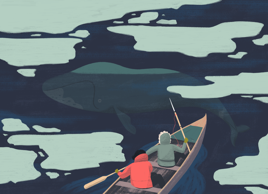  Snow Rock &amp; Flesh 