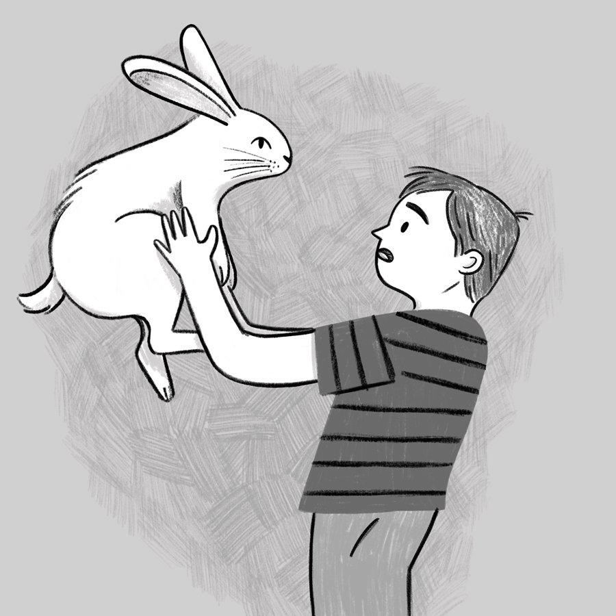rabbit-3-portfolio.jpg