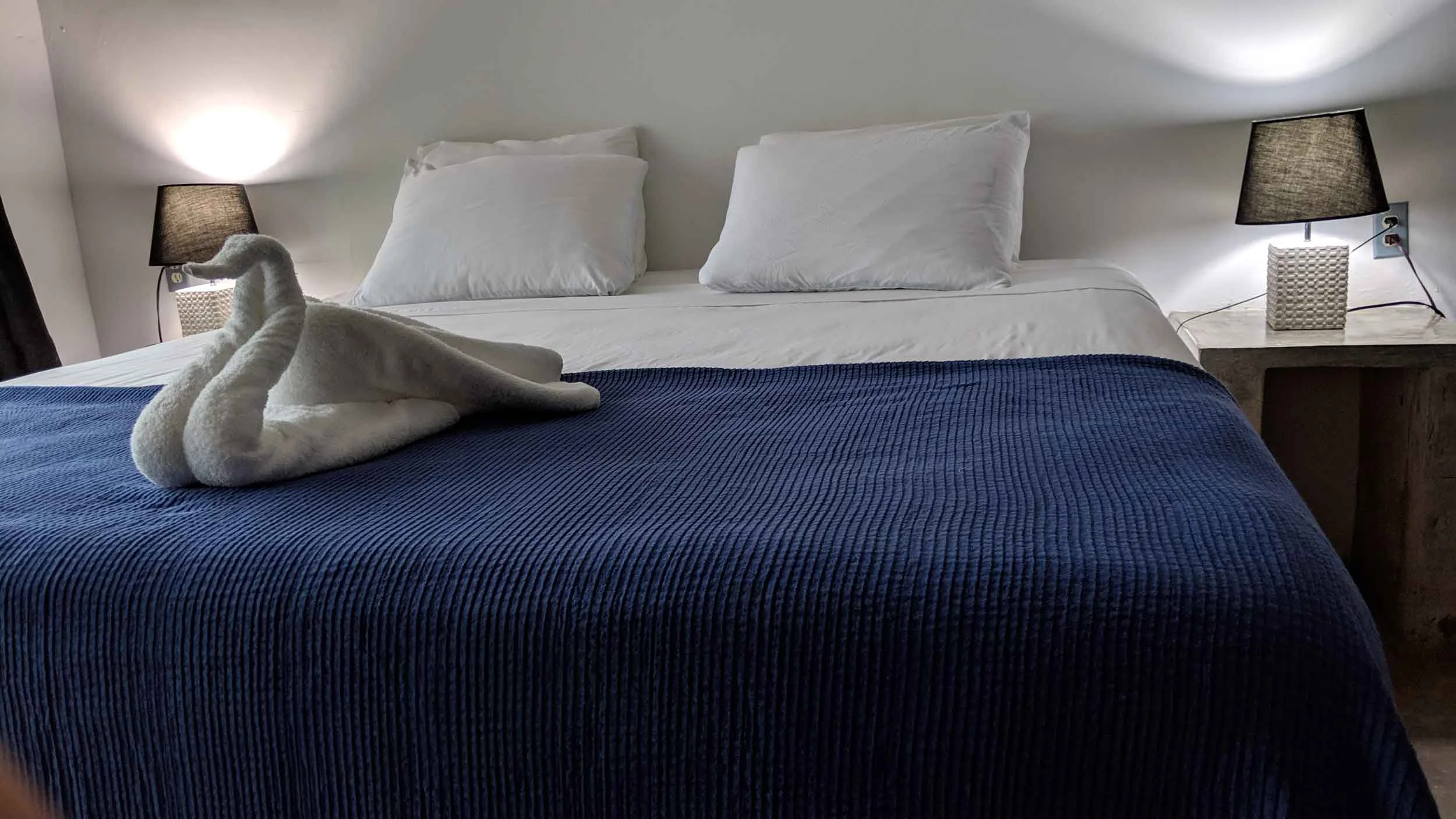 bed-swan.jpg