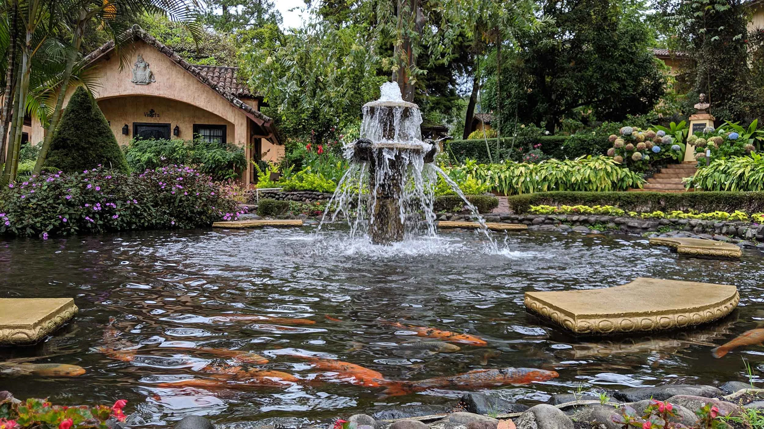 koi-pond.jpg