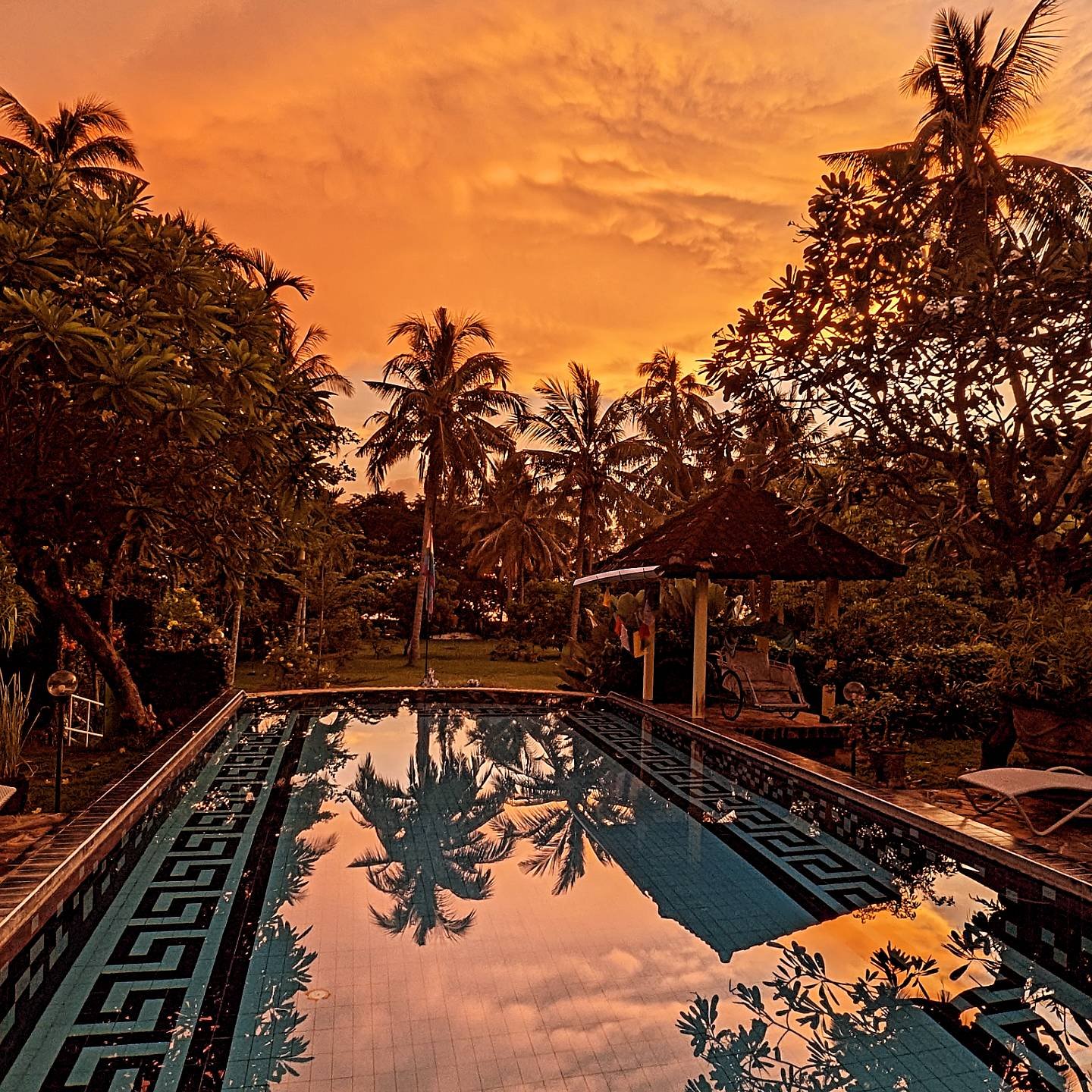 Waking up before dawn is magical at Bali au Naturel resort! Making a cup of coffee, ☕ gazing at the moon, watching and listening to the birds sing their first songs is a powerful morning meditation! I've included two little videos for you to hear the