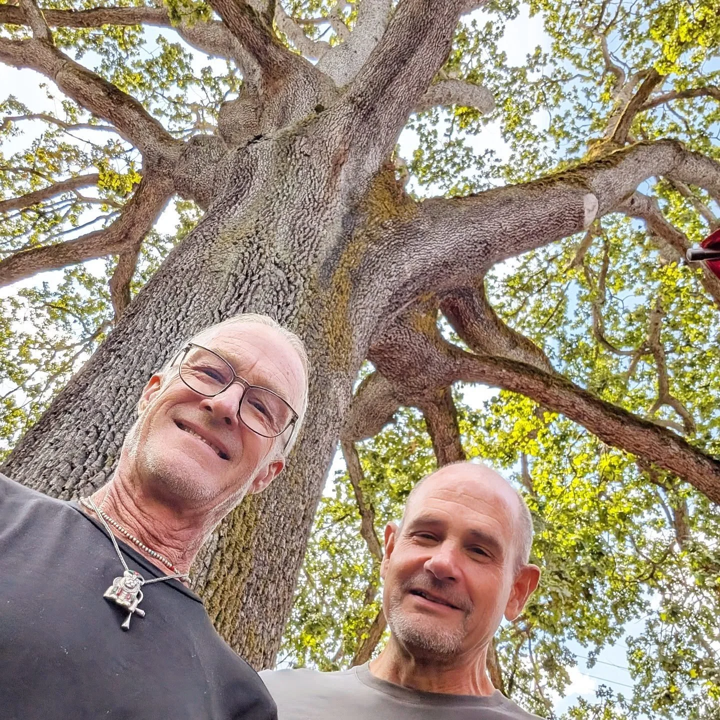 YES! We're tree hugging hippies from Portland Oregon! 🫂
This beautiful Portland Heritage Tree is an Oregon White 🤍 Oak and is located on NW 23rd Avenue at the Tara Thai Restaurant. Eating Thai food under this massive old tree in our neighborhood is