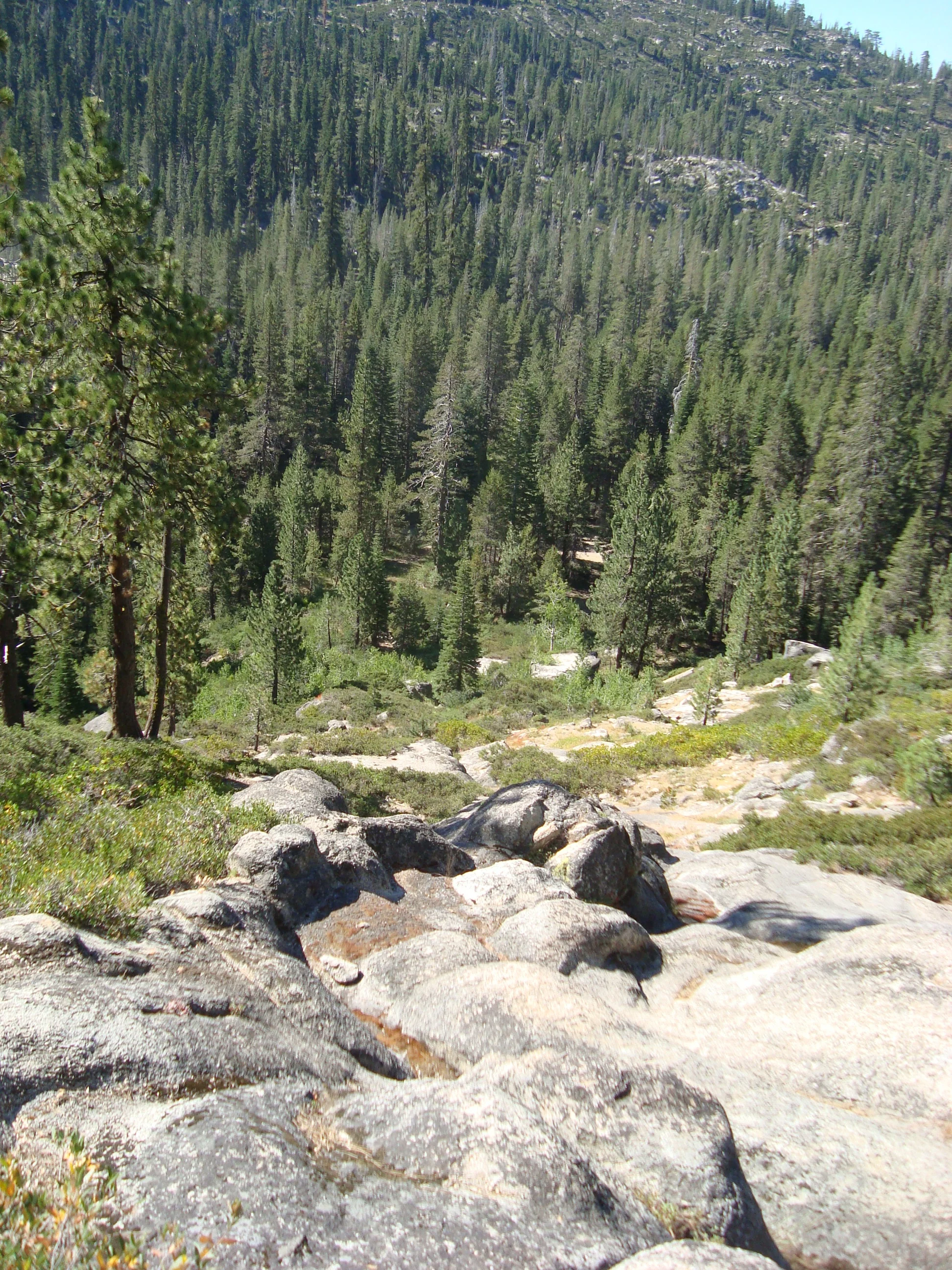 DSC05263.JPG