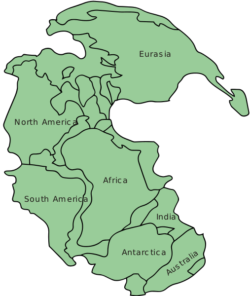 Map of Pangea, circa 300 million years ago ©Wikimedia Commons Wikipedia