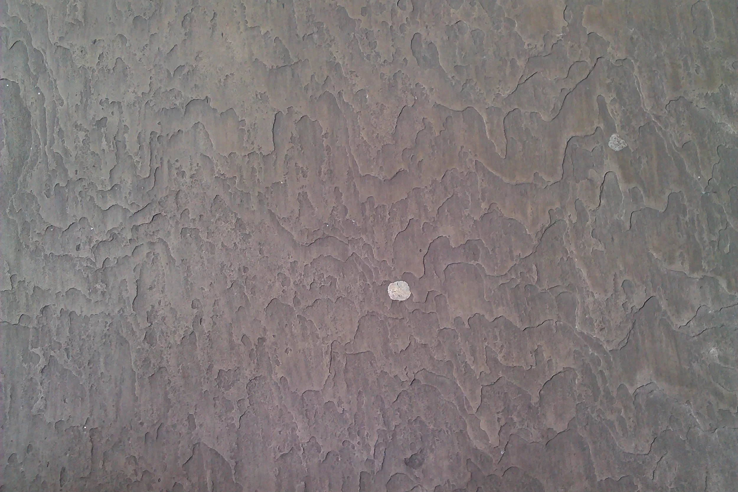 Manchester Art Gallery flagstone, photographed by me.