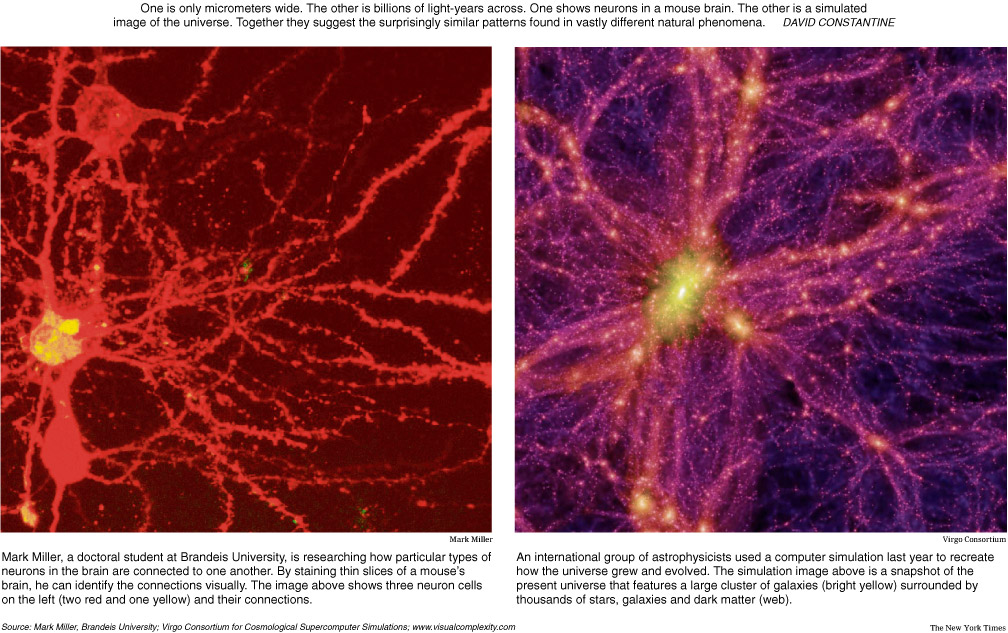 brain neurons (left) galactic filaments (right) / Credit: Virgo Consortium, The New York Times